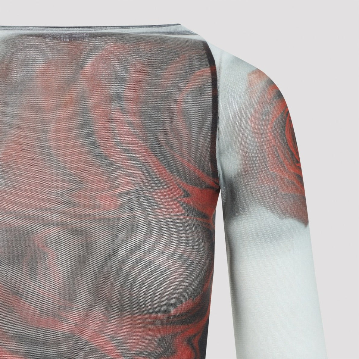 Fitted Long-Sleeved Top With Semi-Sheer Fabric