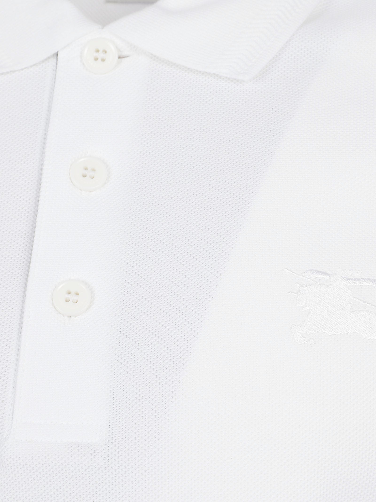 Cotton Polo Shirt with Classic Collar