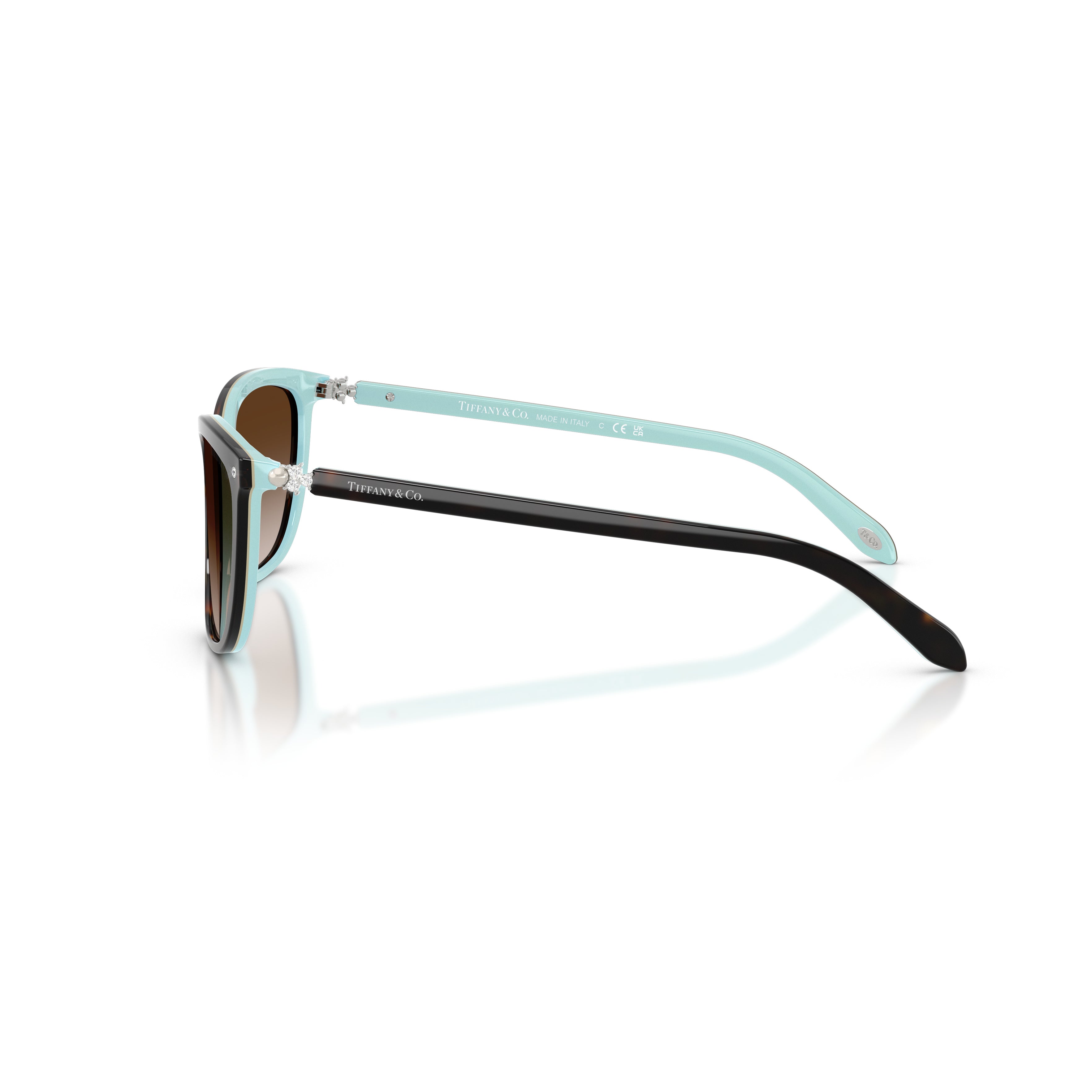 0tf4105hb Cat-Eye Sunglasses in Glossy Acetate