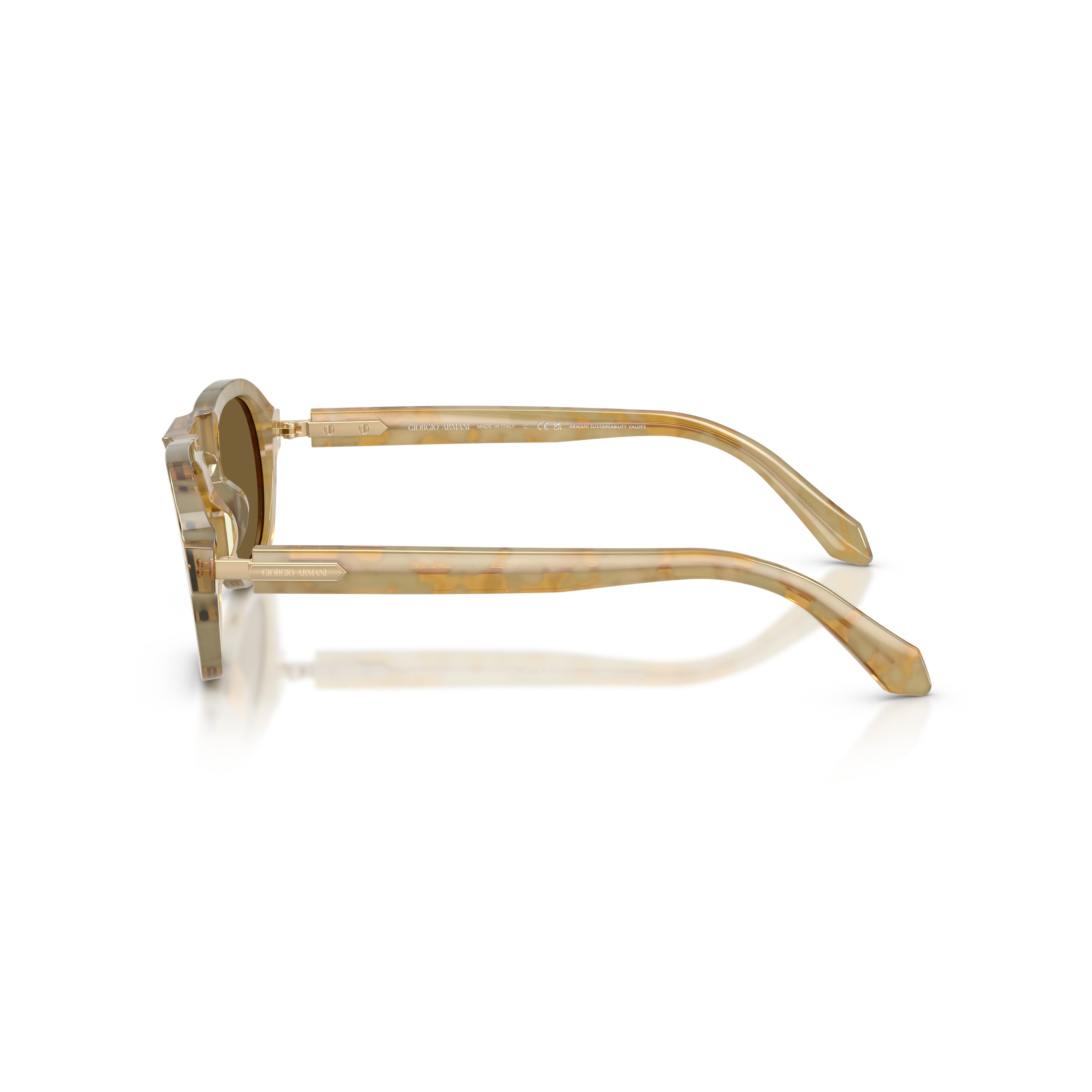 0ar8244 Translucent Acetate Sunglasses with Brown Tinted Lenses