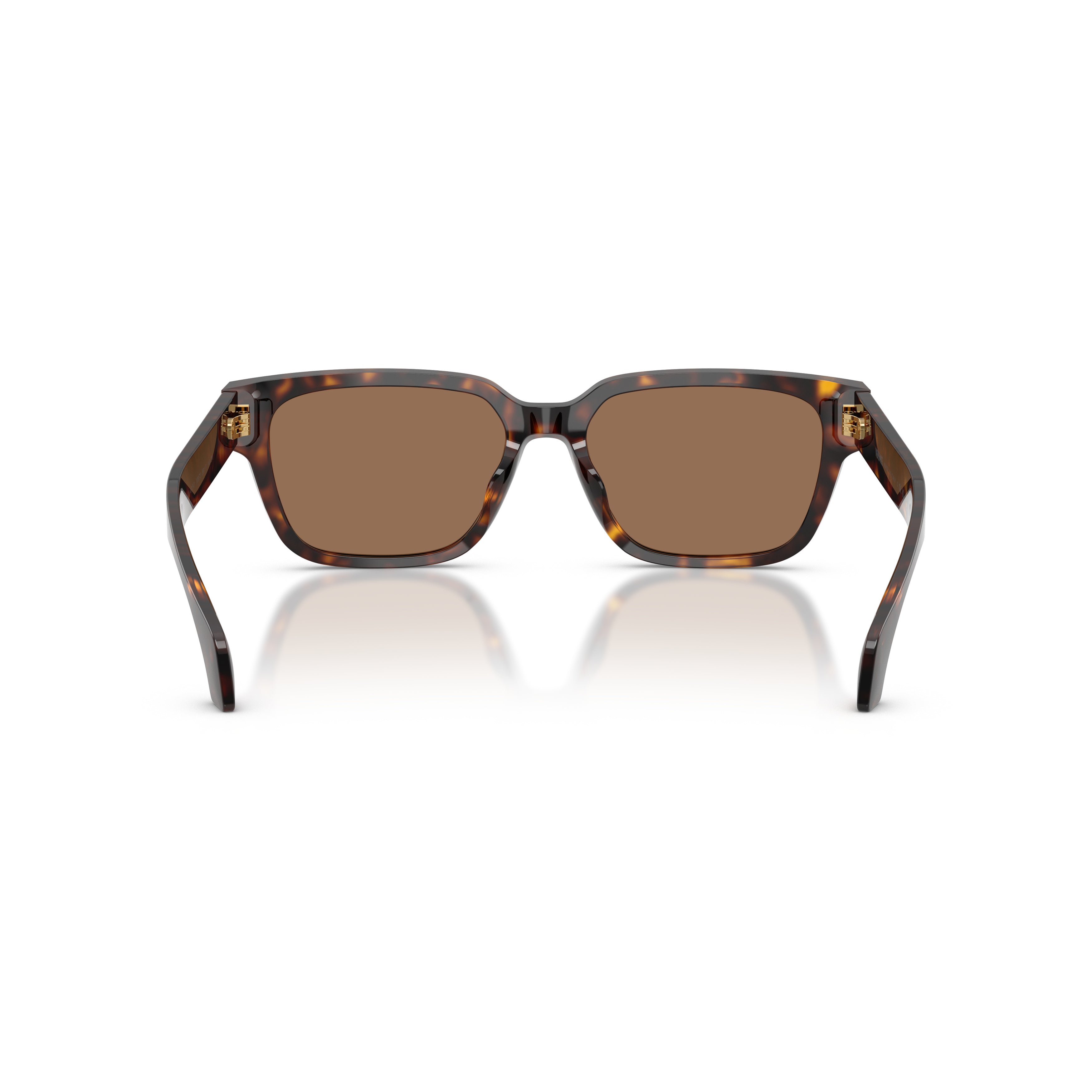 0ve4513d Rectangular Tortoiseshell Acetate Sunglasses