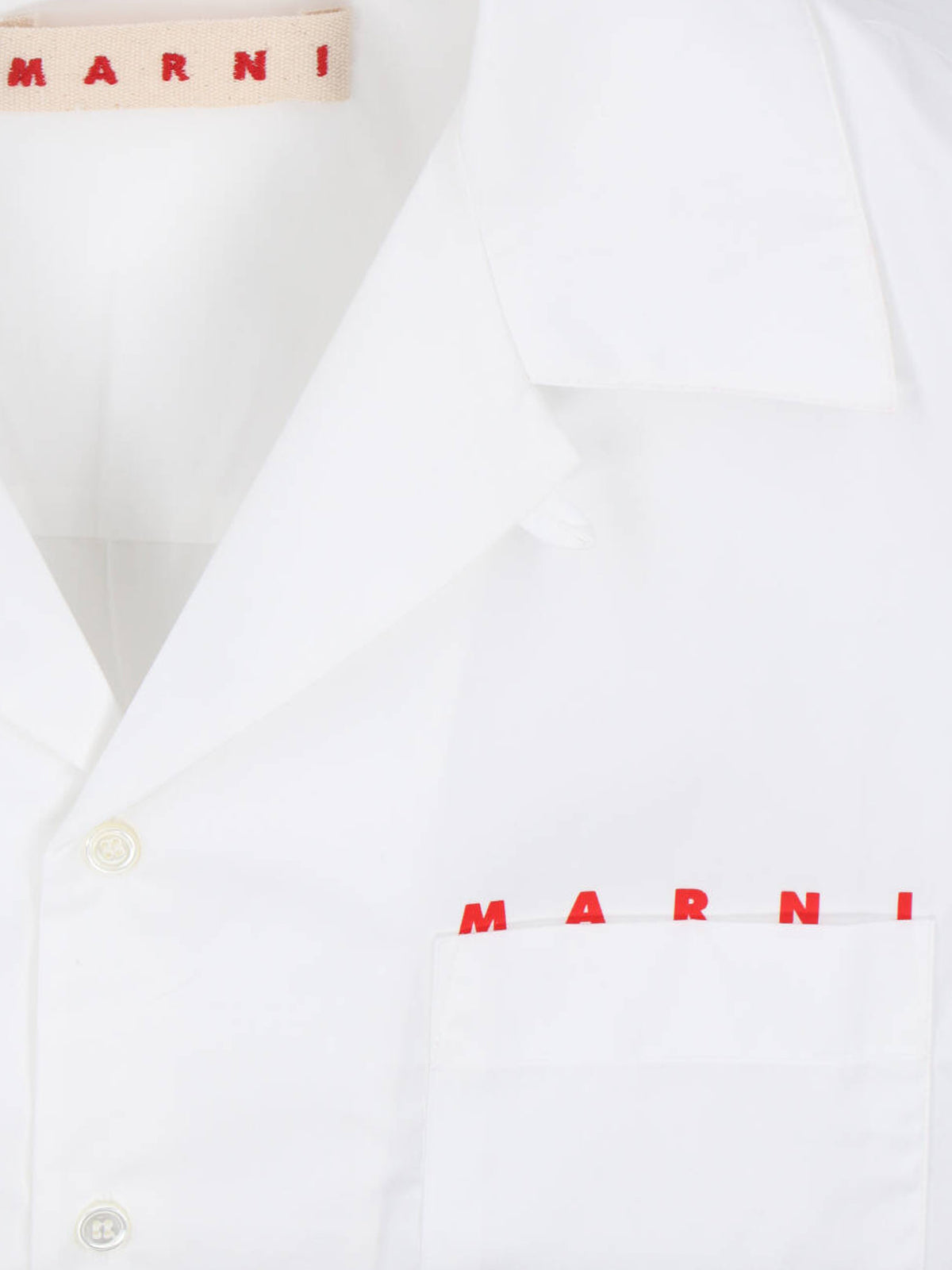 Crisp White Shirt With Pointed Collar