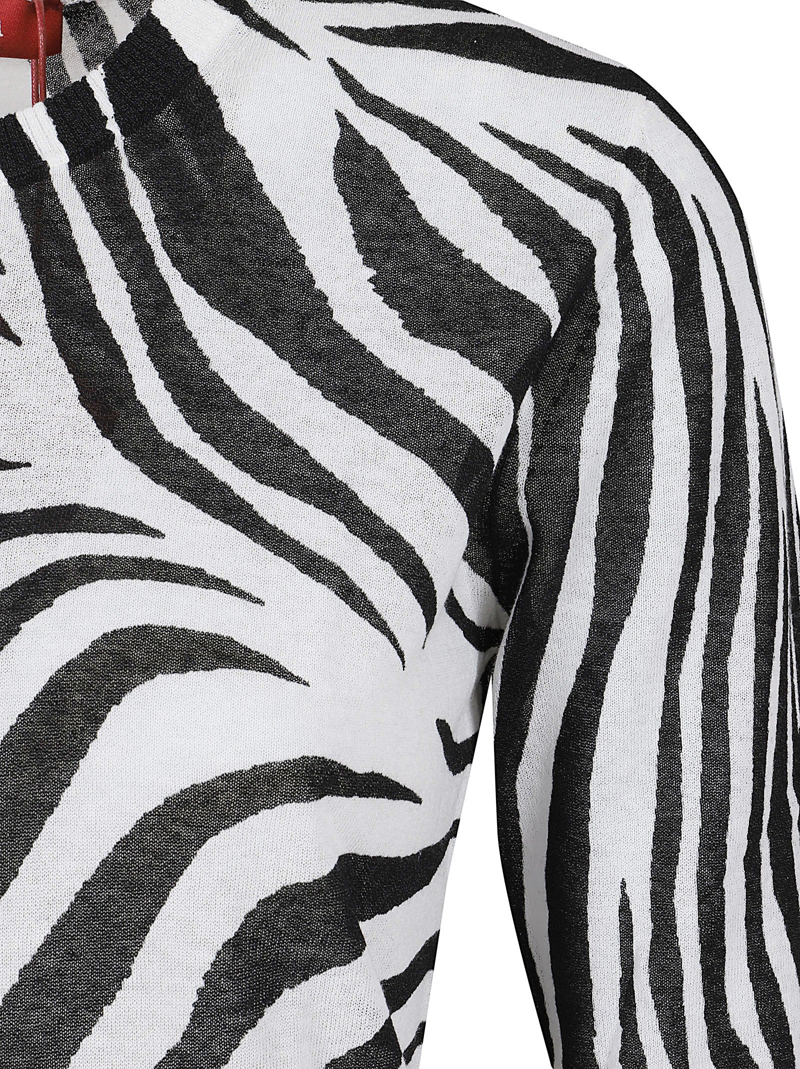 Fitted Zebra Print Top with Short Sleeves