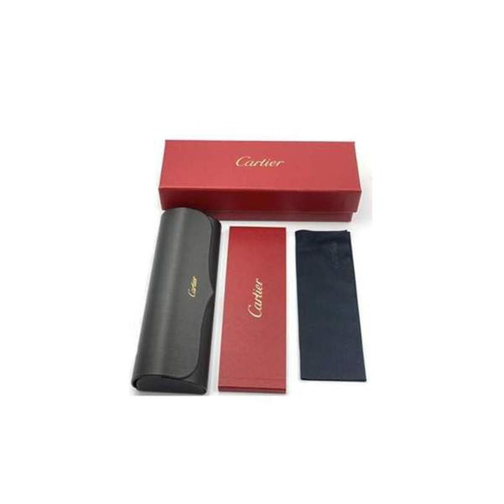 Ct0476S Santos De Ruthenium Metal Pilot Sunglasses