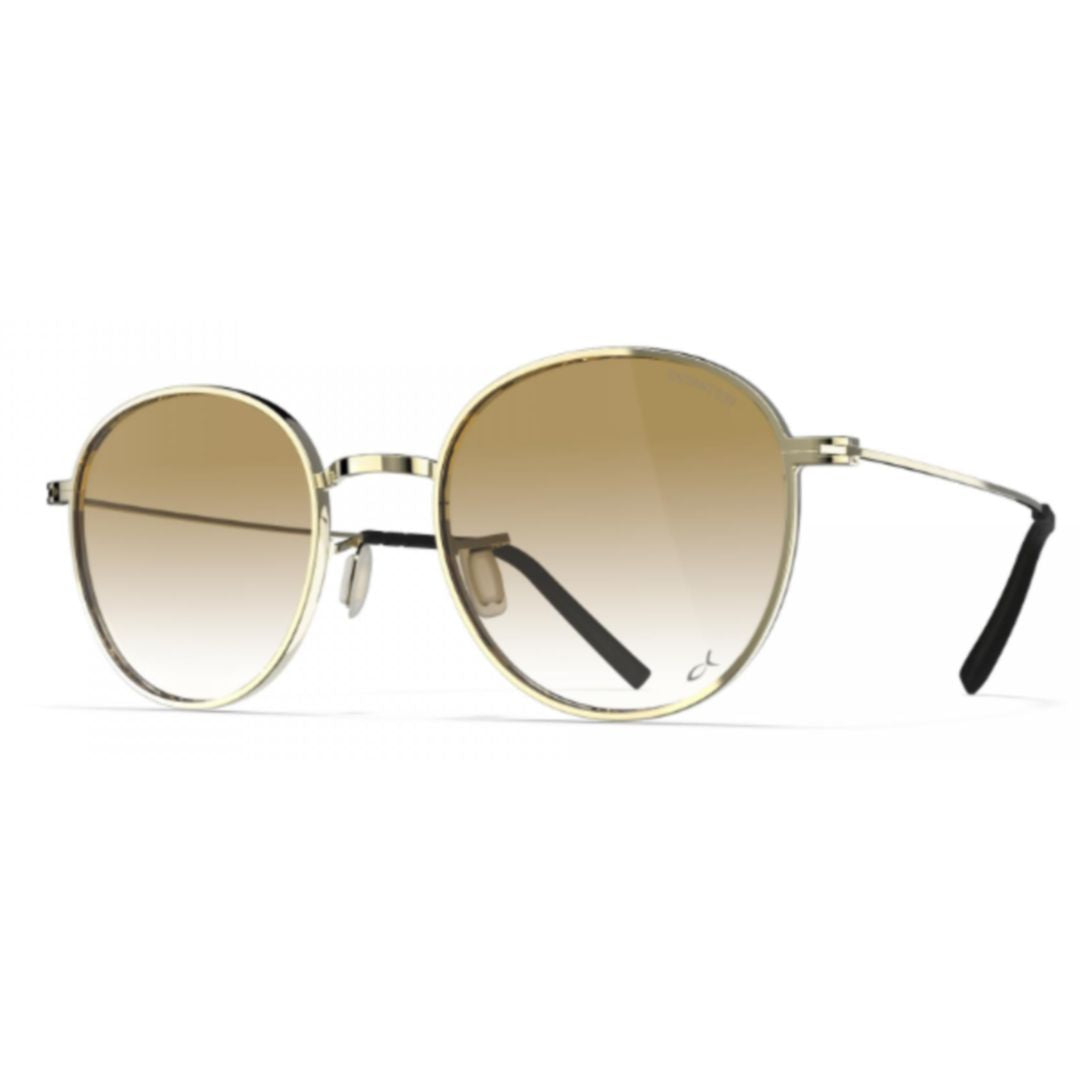 Bf1036 Pasadena Gradient Brown Tinted Round Frame Sunglasses in Beta Titanium Alloy