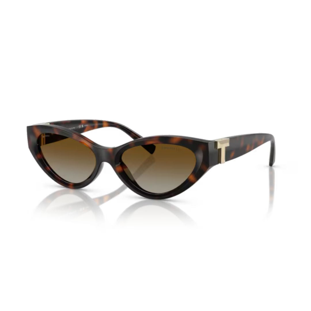 0tf4225u Cat-Eye Frame Sunglasses