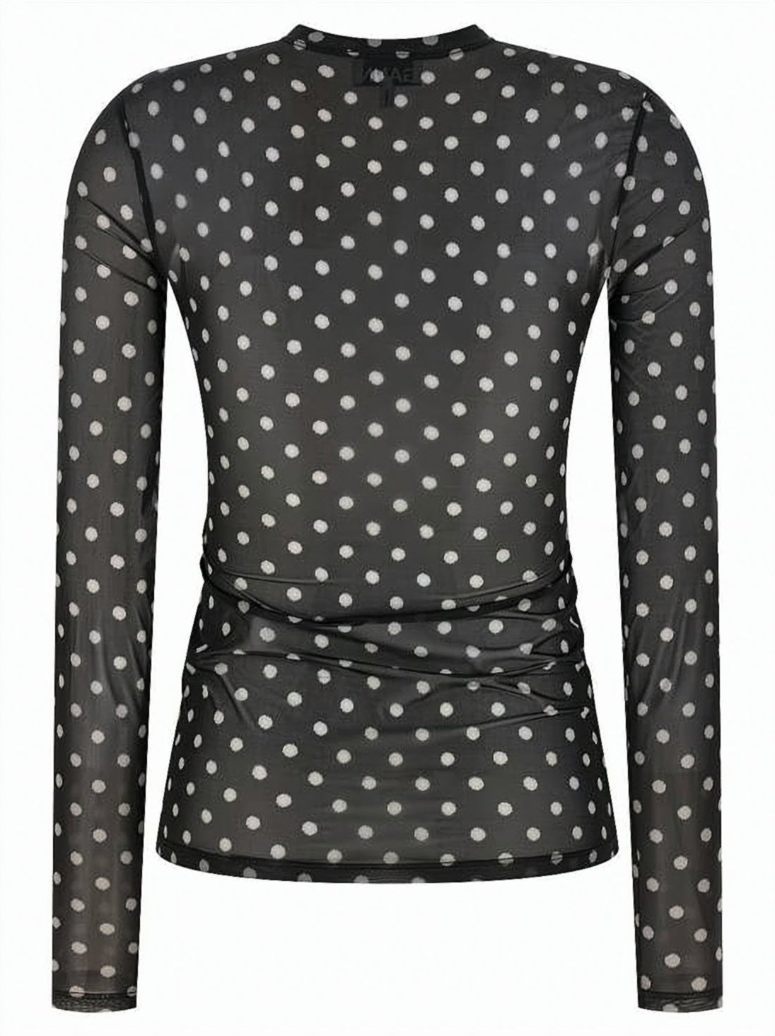 Sheer Long-Sleeve Top with All-Over Polka Dot Pattern
