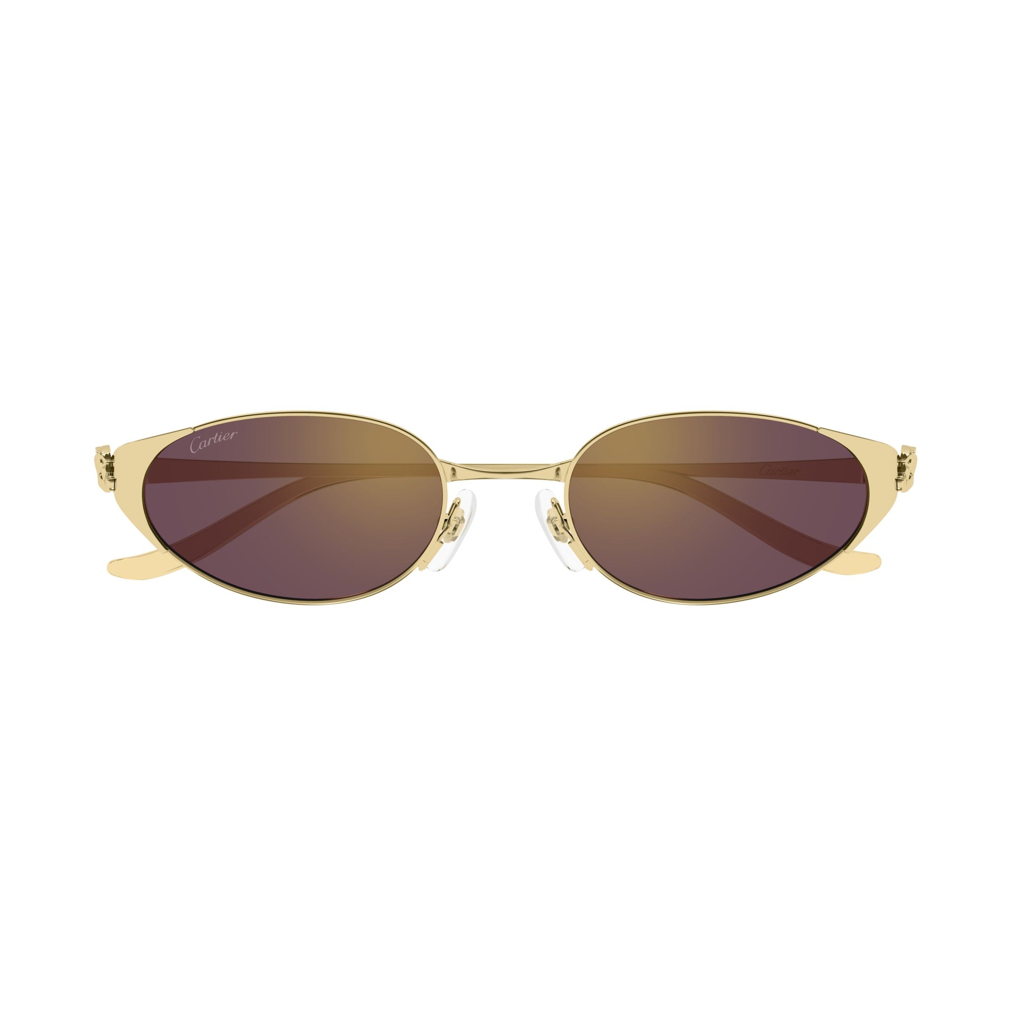 Ct0630s Oval-Frame Sunglasses
