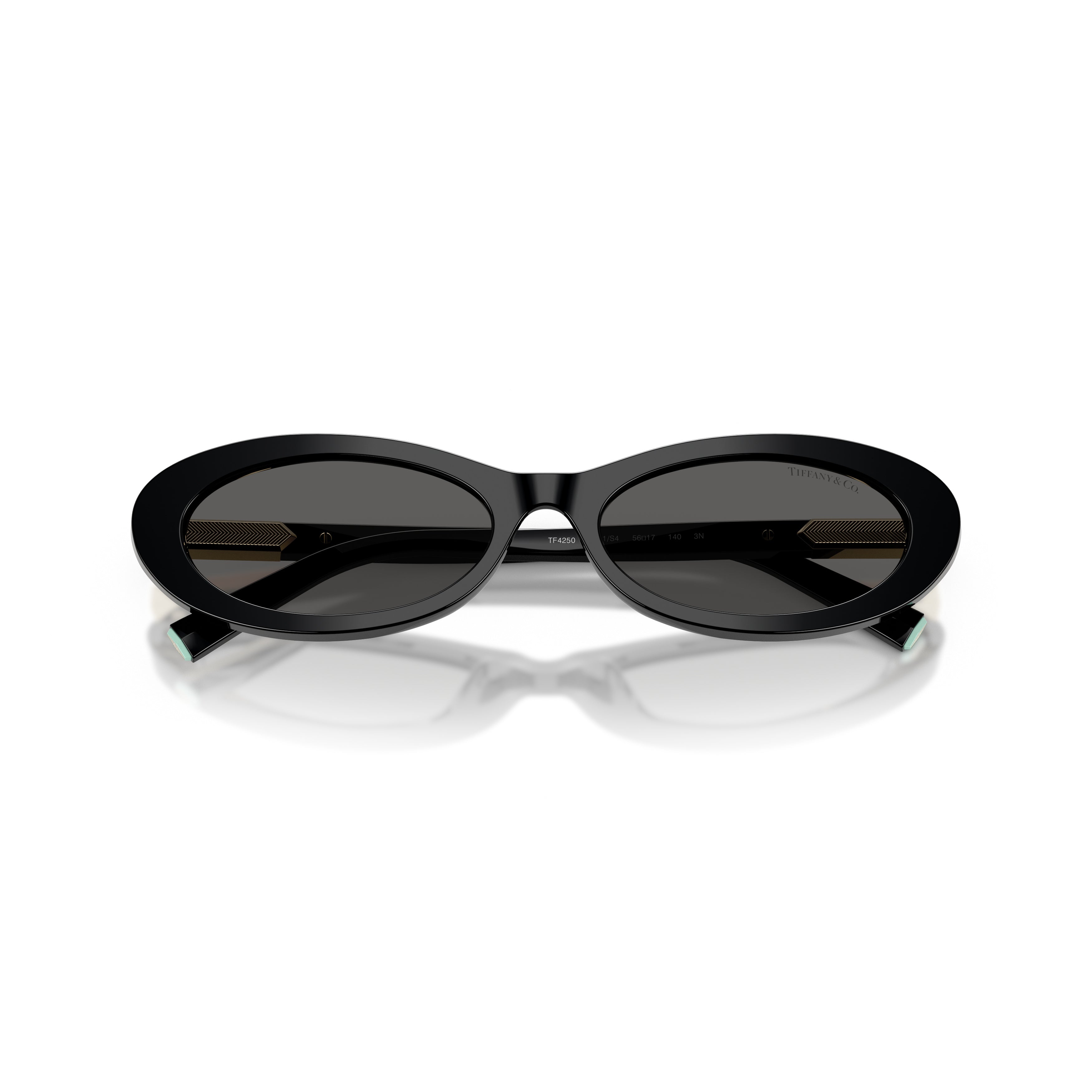 0tf4250 Elongated Oval Sunglasses