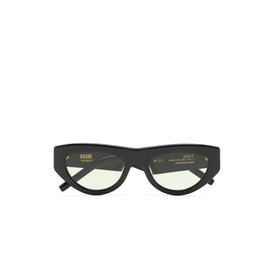 Groff Cat-Eye Sunglasses with Glossy Black Frames