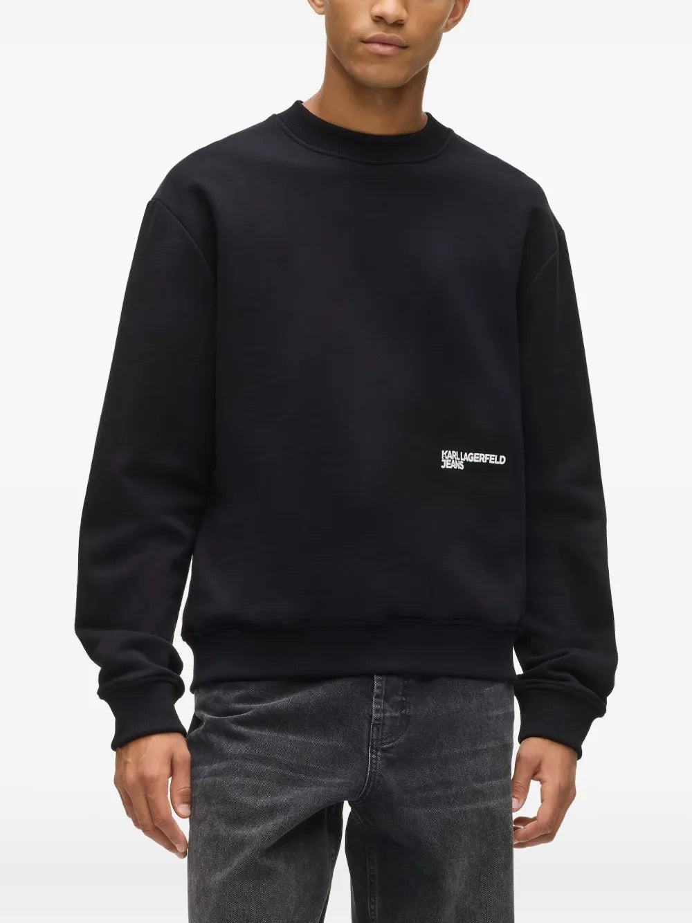 Crewneck Sweatshirt with Graphic Print and Ribbed Detail