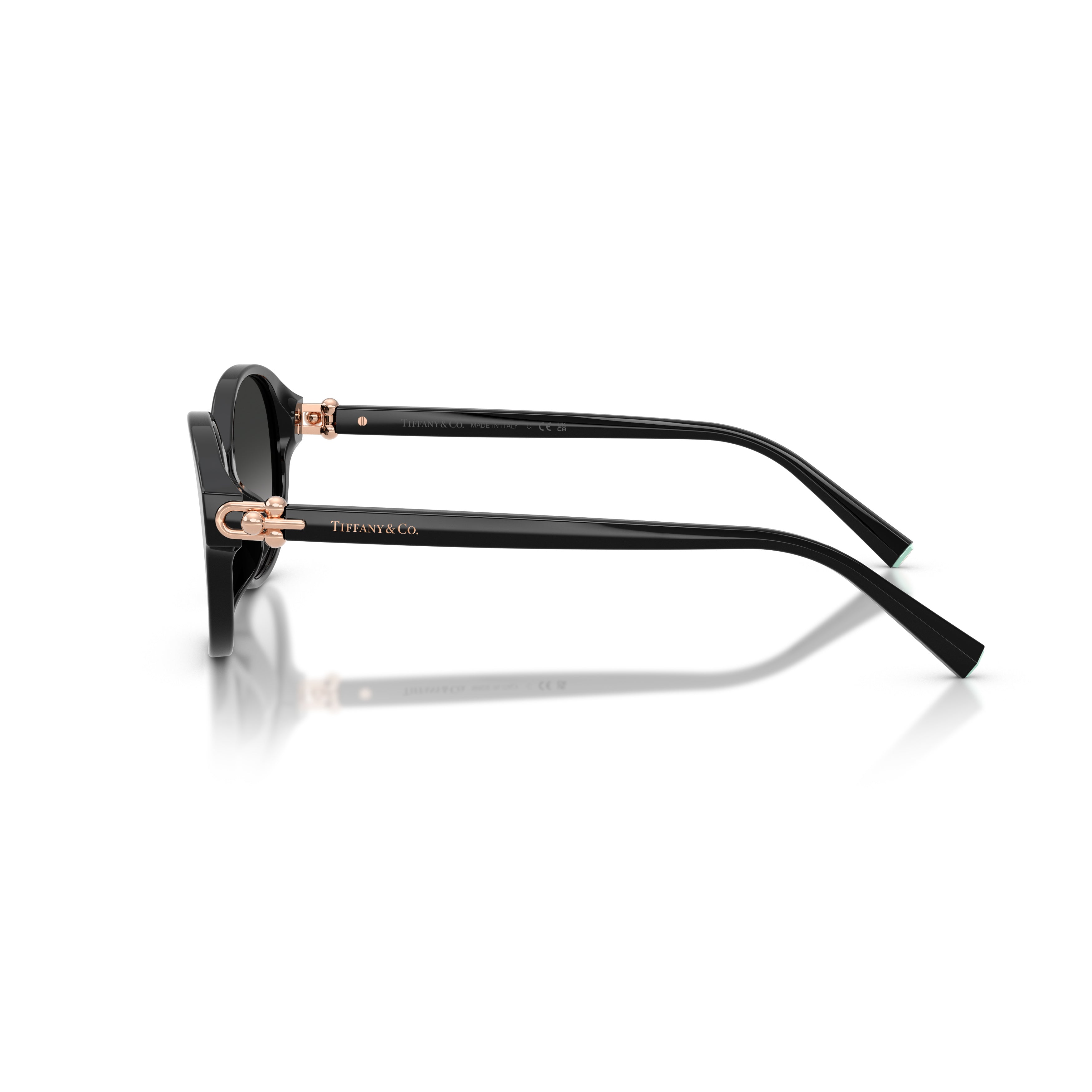 0tf4263d Rounded Black Acetate Sunglasses