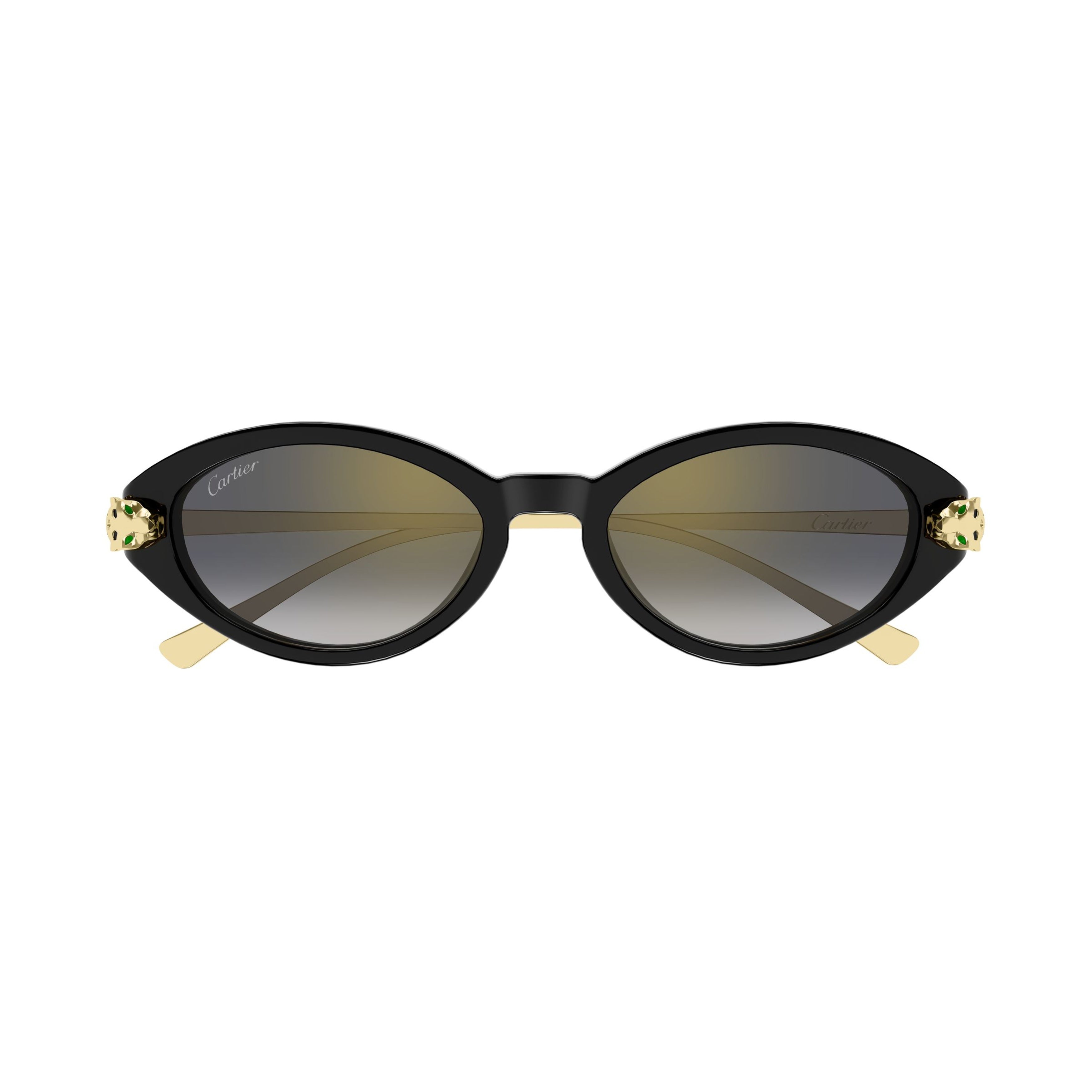 Ct0634s Oval-Shaped Black Acetate Sunglasses
