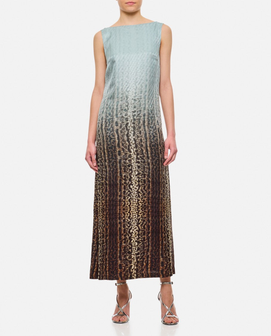 Shaded Midi Dress