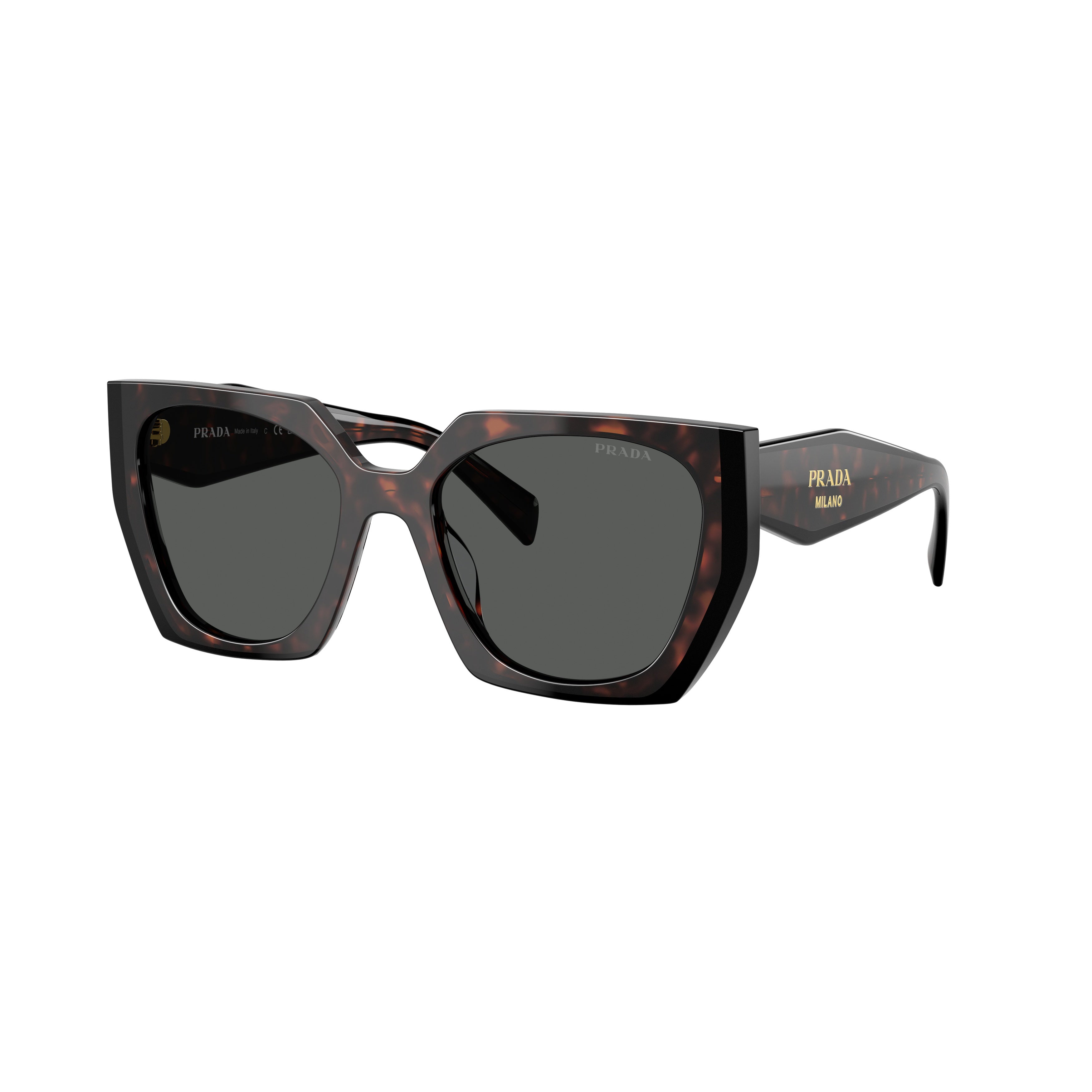 0pr 15ws Oversized Tortoiseshell Acetate Sunglasses