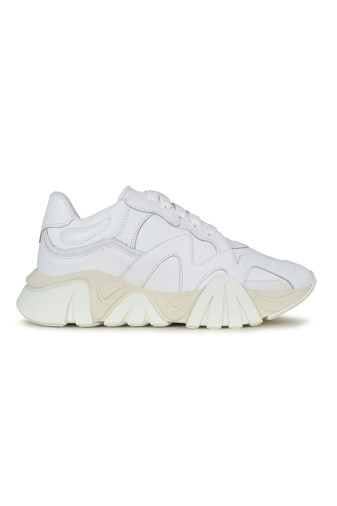 Squalo Sneakers