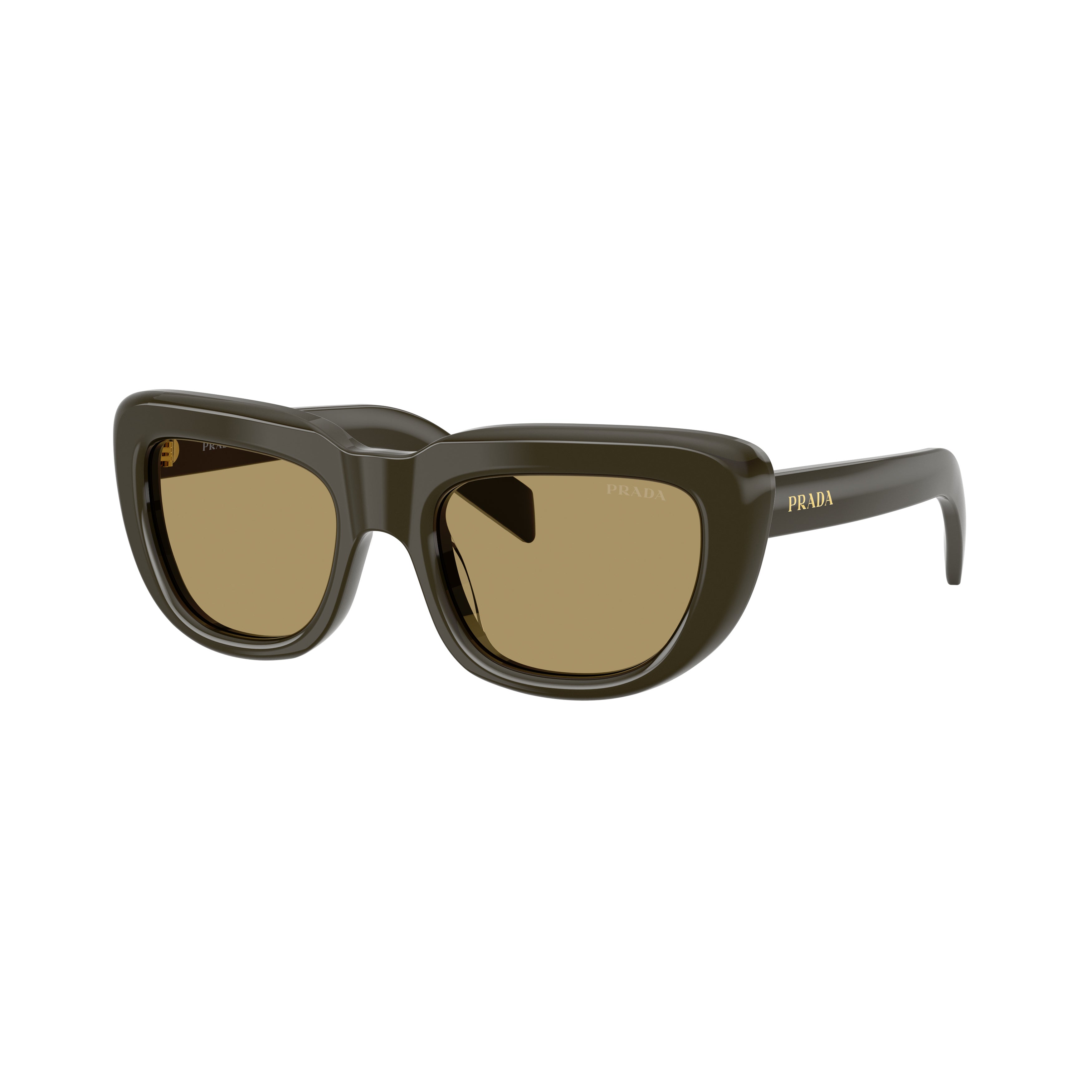 0pr D07s Oversized Rectangular Acetate Sunglasses