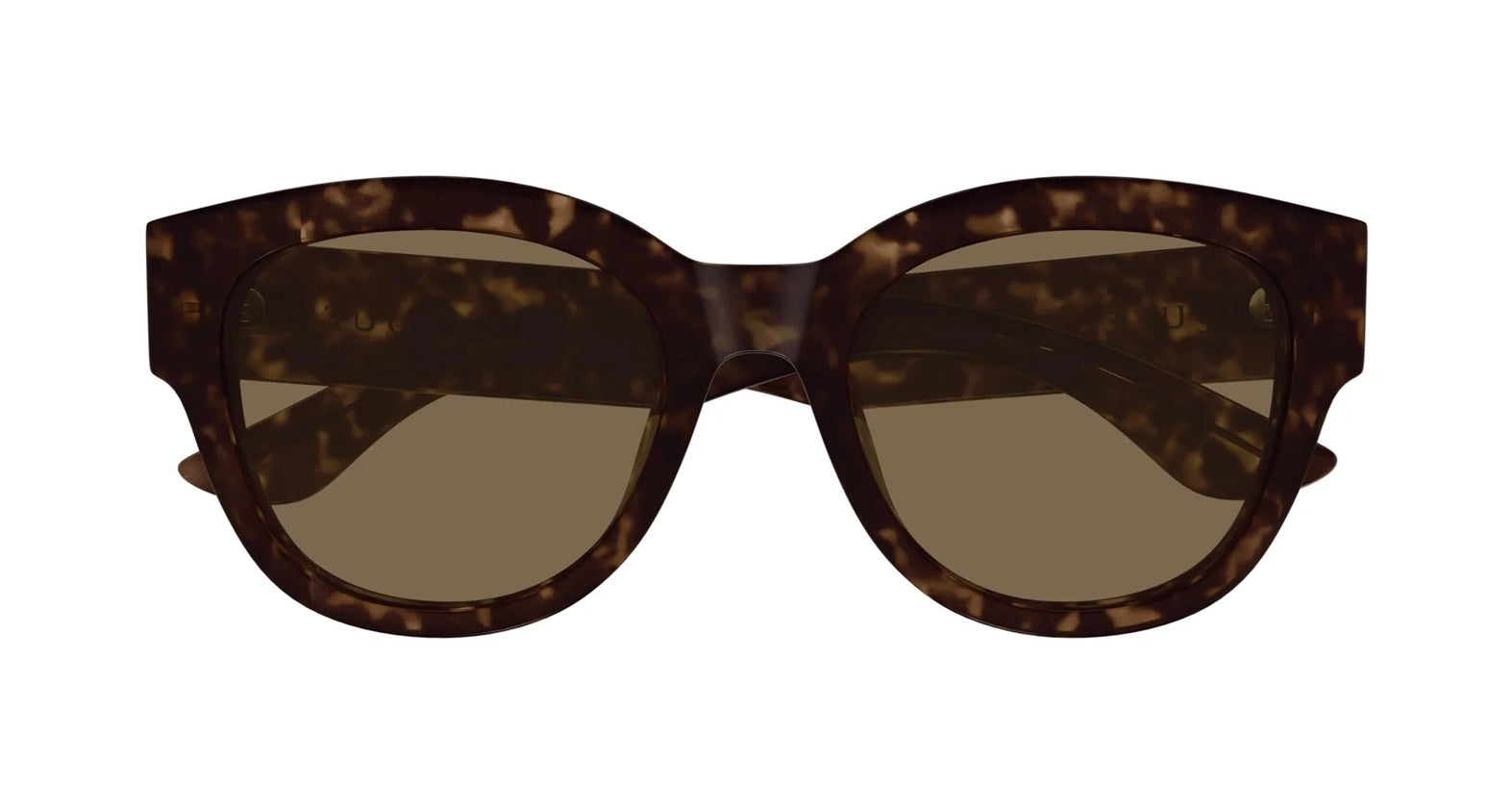 Oversized Cat-Eye Sunglasses with Glossy Black Frame