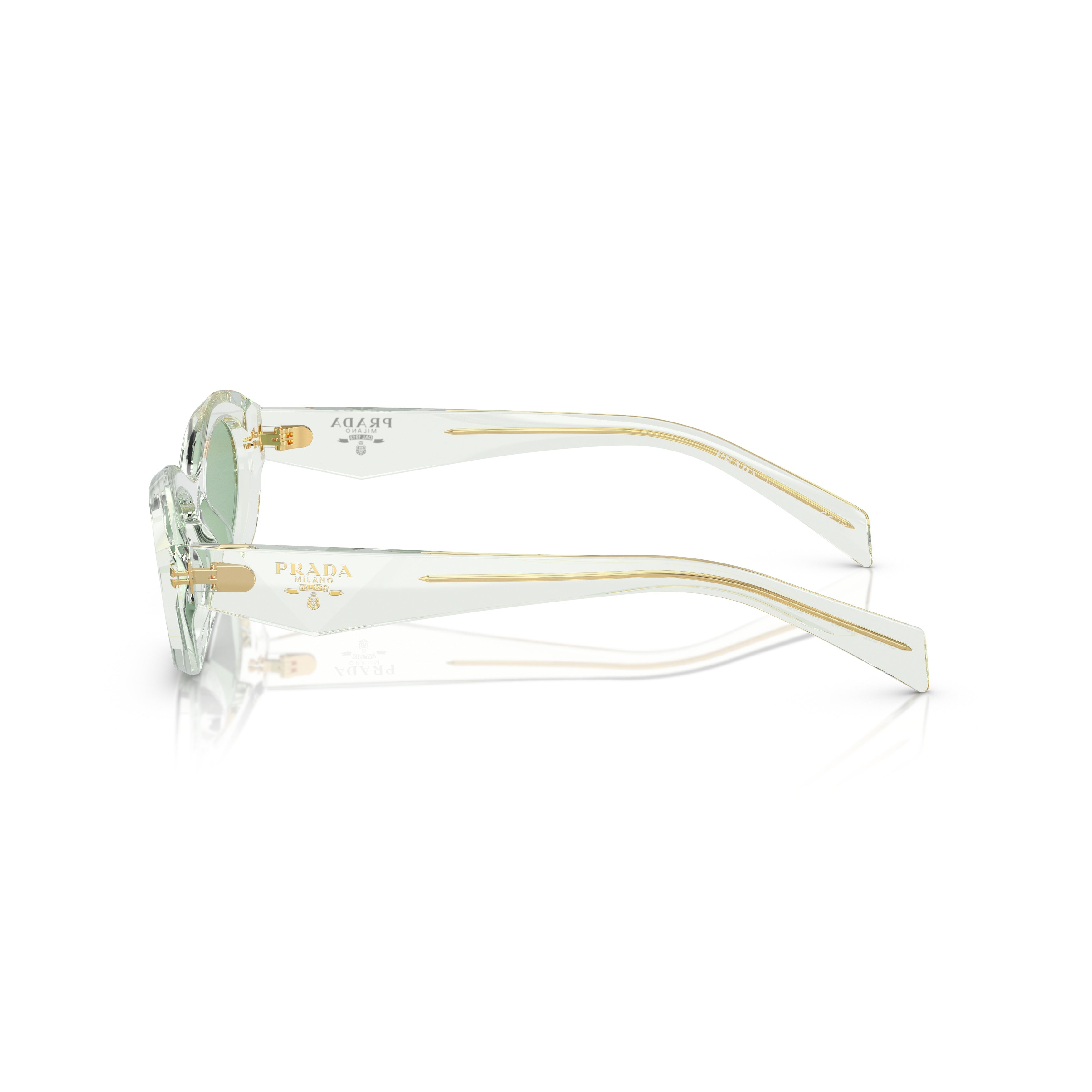 0pr 26zs Translucent Acetate Oval Sunglasses