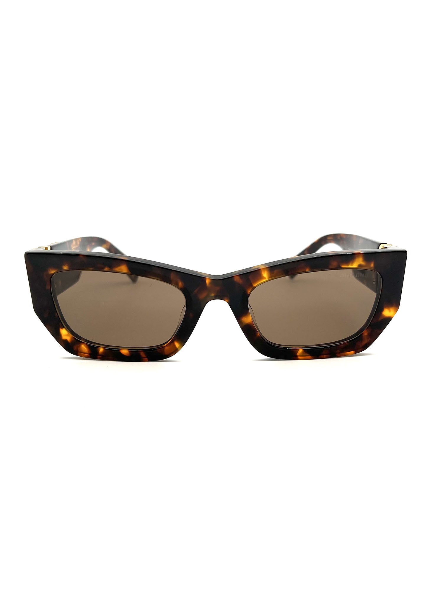 Brown Tortoiseshell Acetate Sunglasses