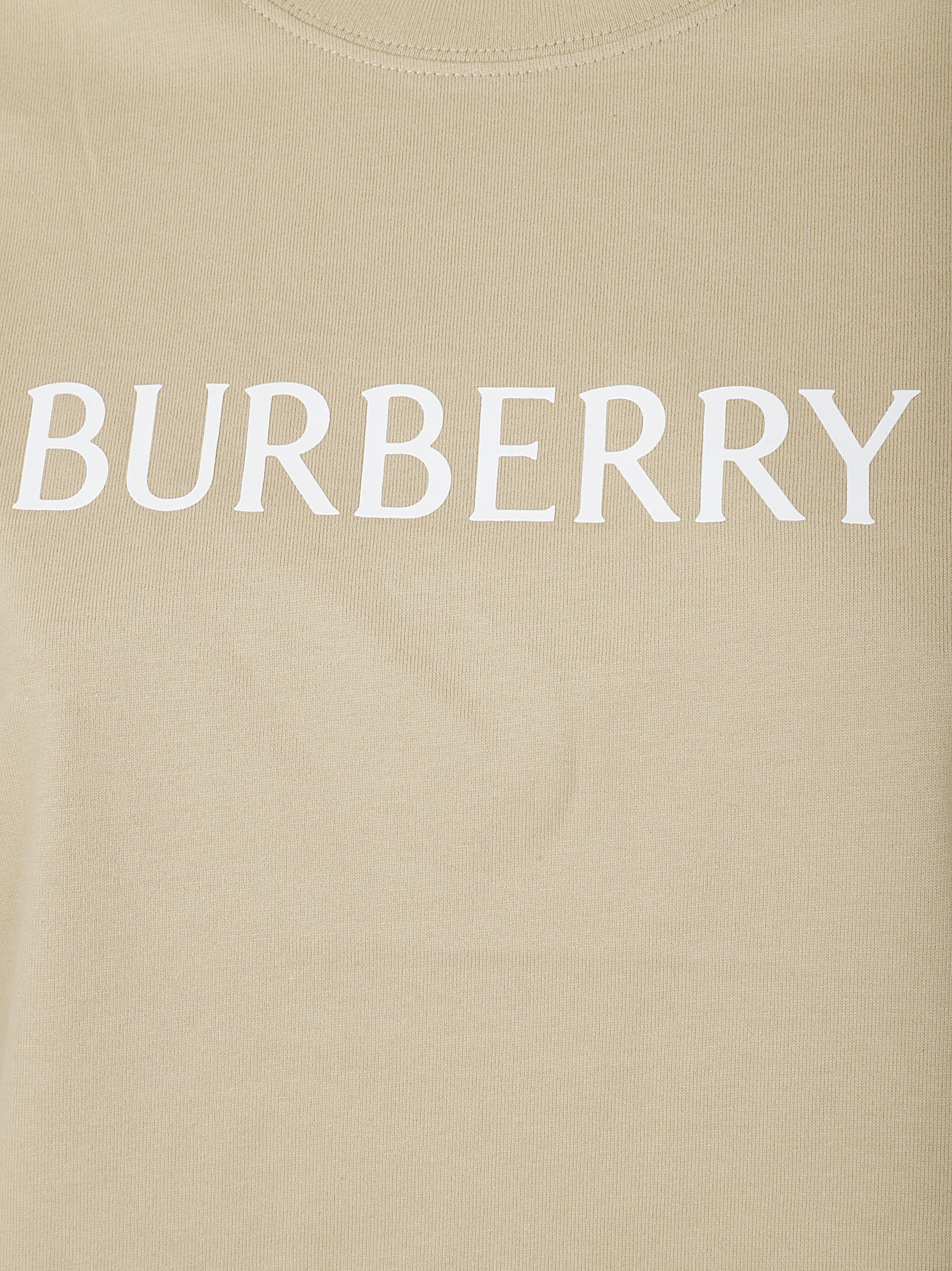 Slim Fit Lightweight Cotton T-Shirt