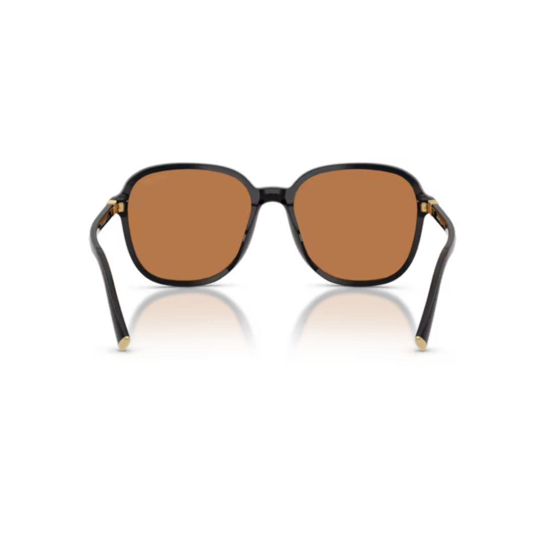 0mu B01s Oversized Square Black Acetate Sunglasses