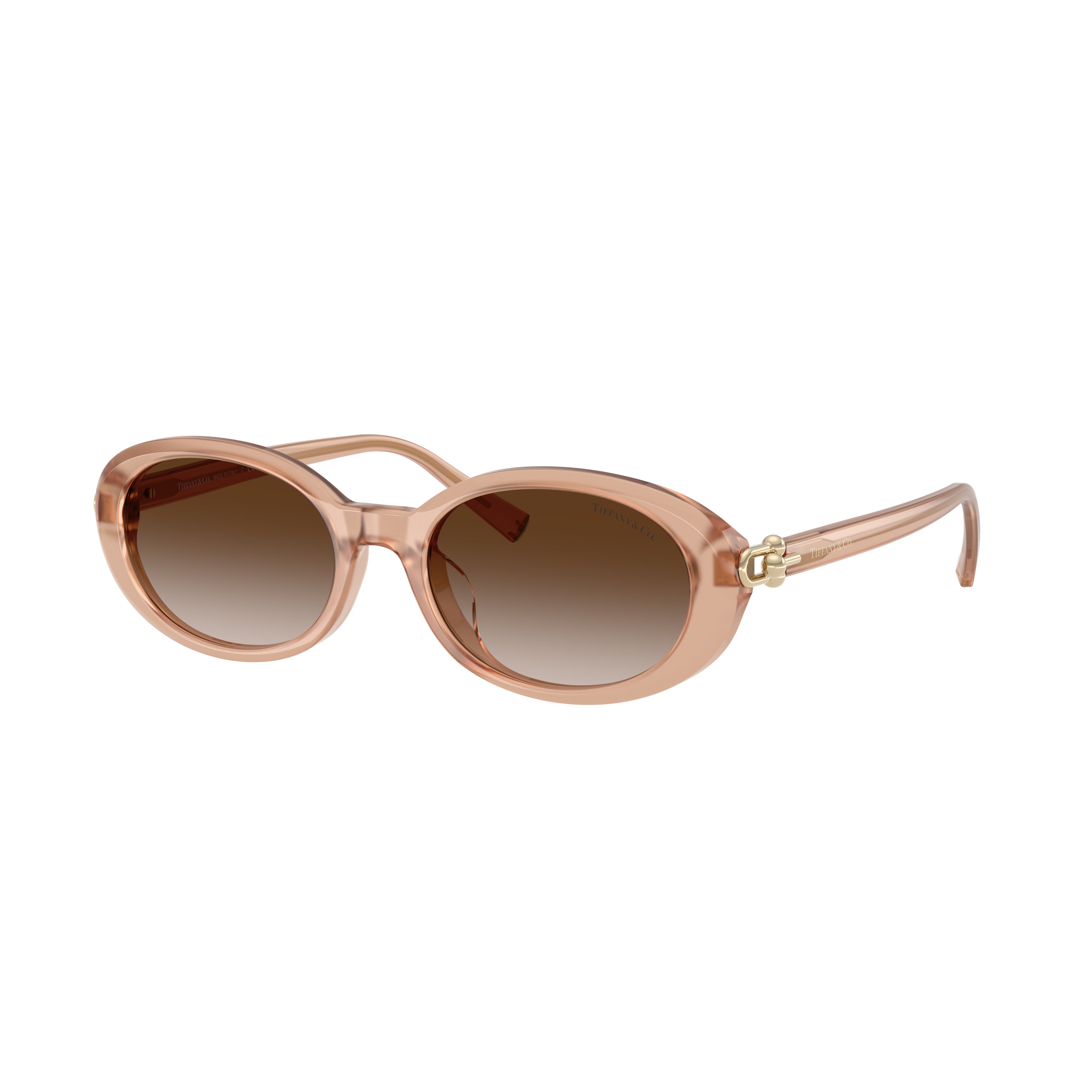 0tf4242d Translucent Acetate Oval Sunglasses