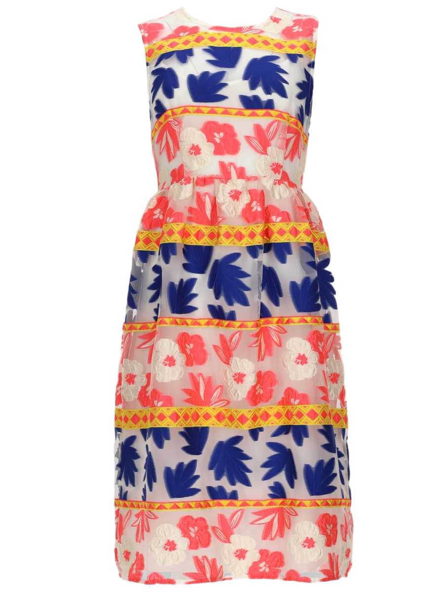 Sleeveless Fitted Floral Dress with Geometric Detailing