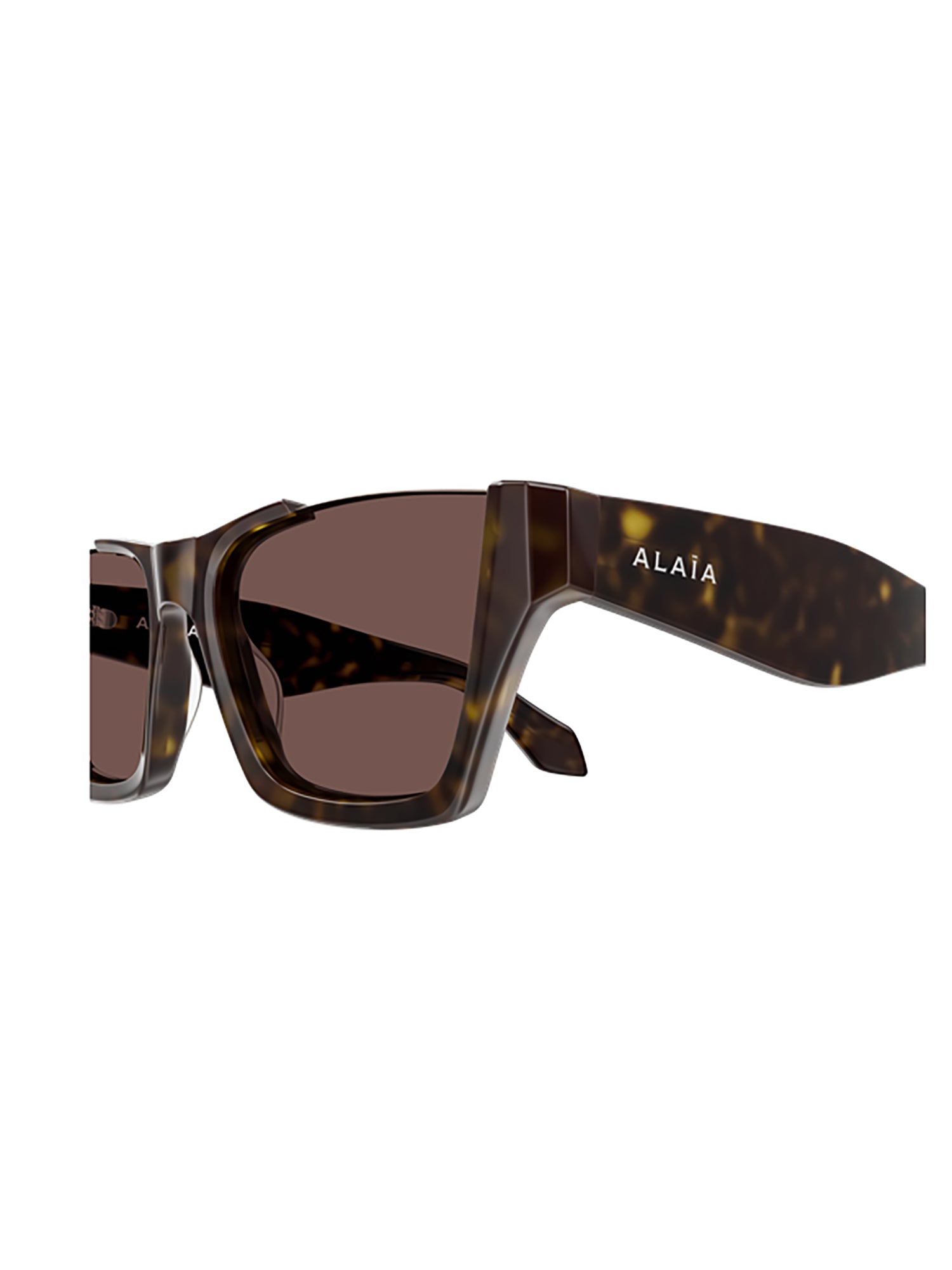 Bold Tortoiseshell Rectangular Sunglasses