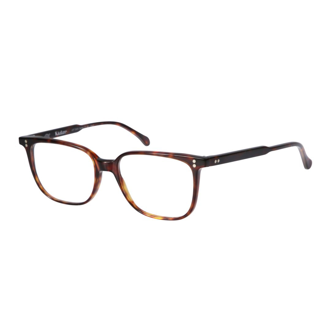 Lait Classic Tortoiseshell Frame Eyeglasses with Metallic Accents