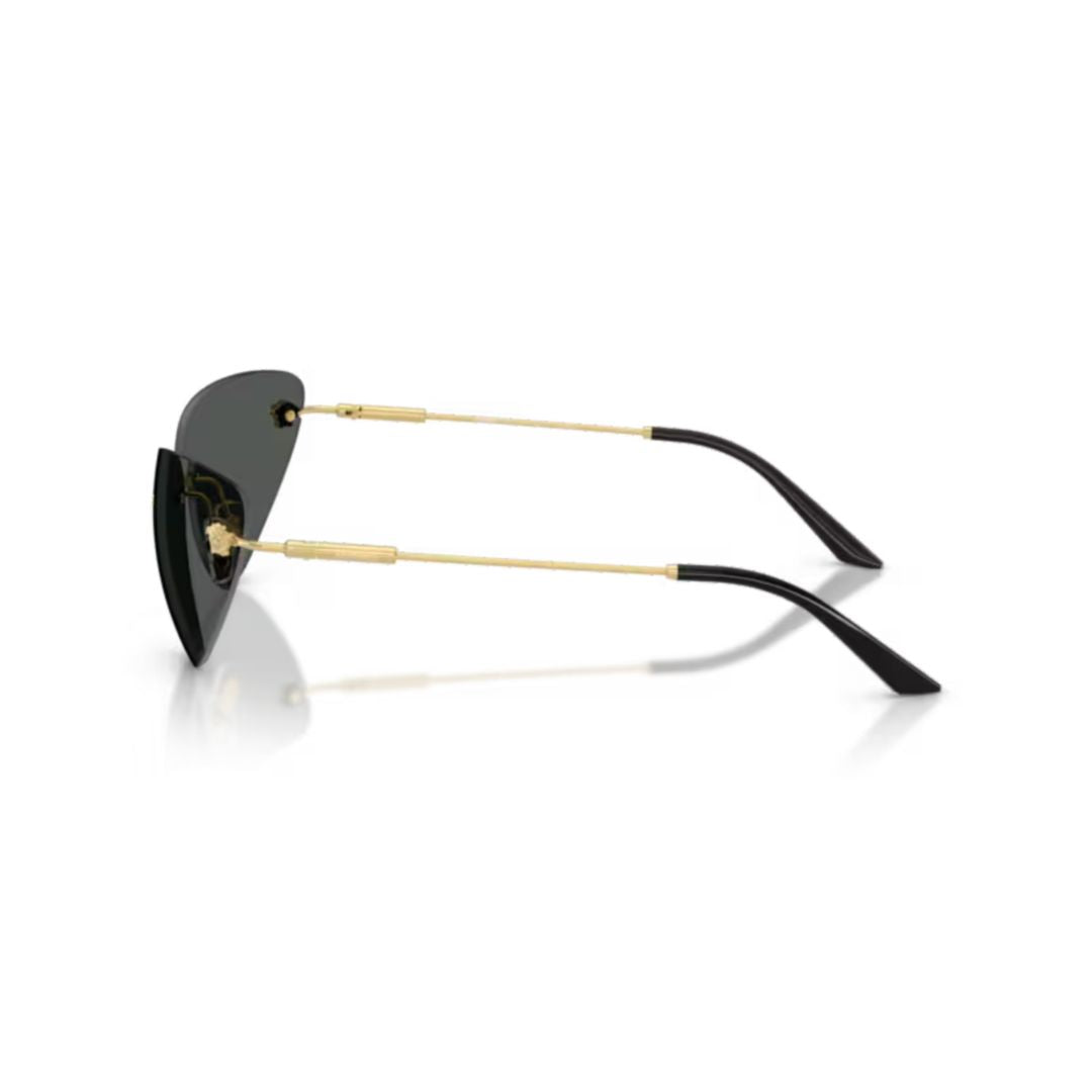 0ve2281 Cat-Eye Sunglasses