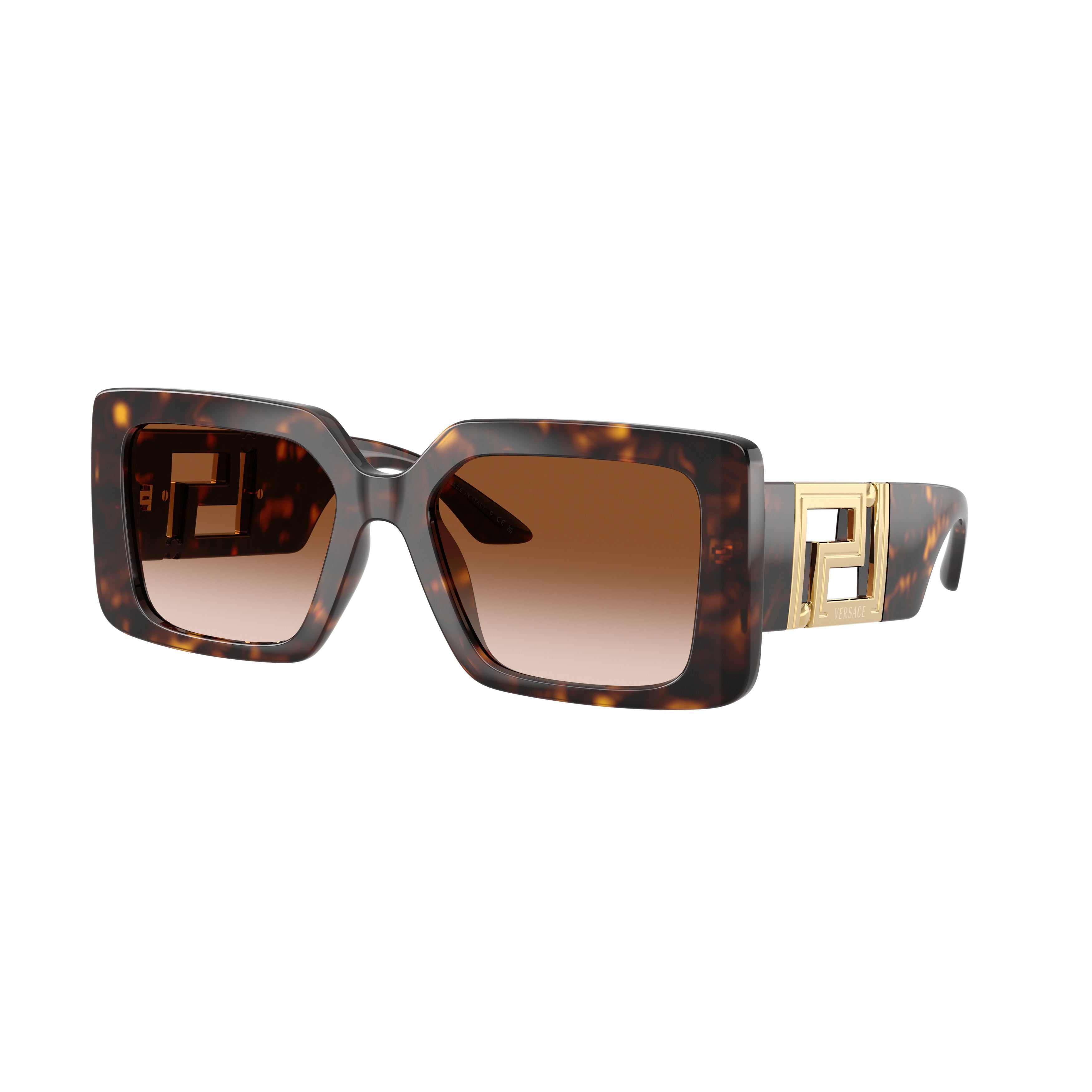 0ve4505u Oversized Square Frame Sunglasses