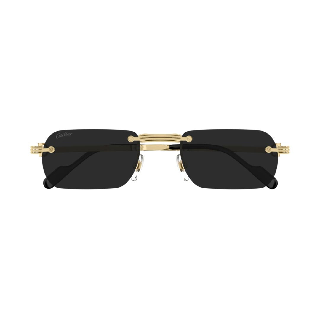 Ct0499s Rectangular Black Lens Sunglasses