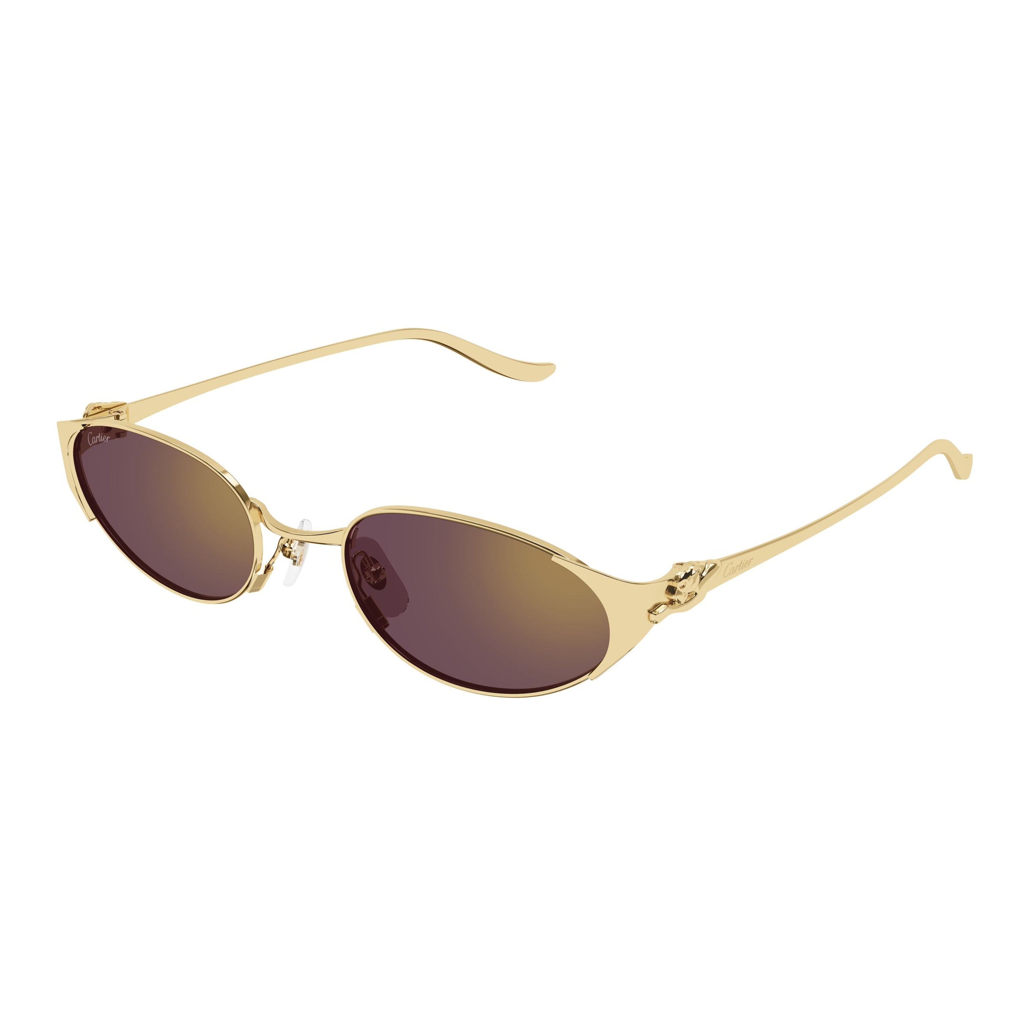 Ct0630s Oval-Frame Sunglasses