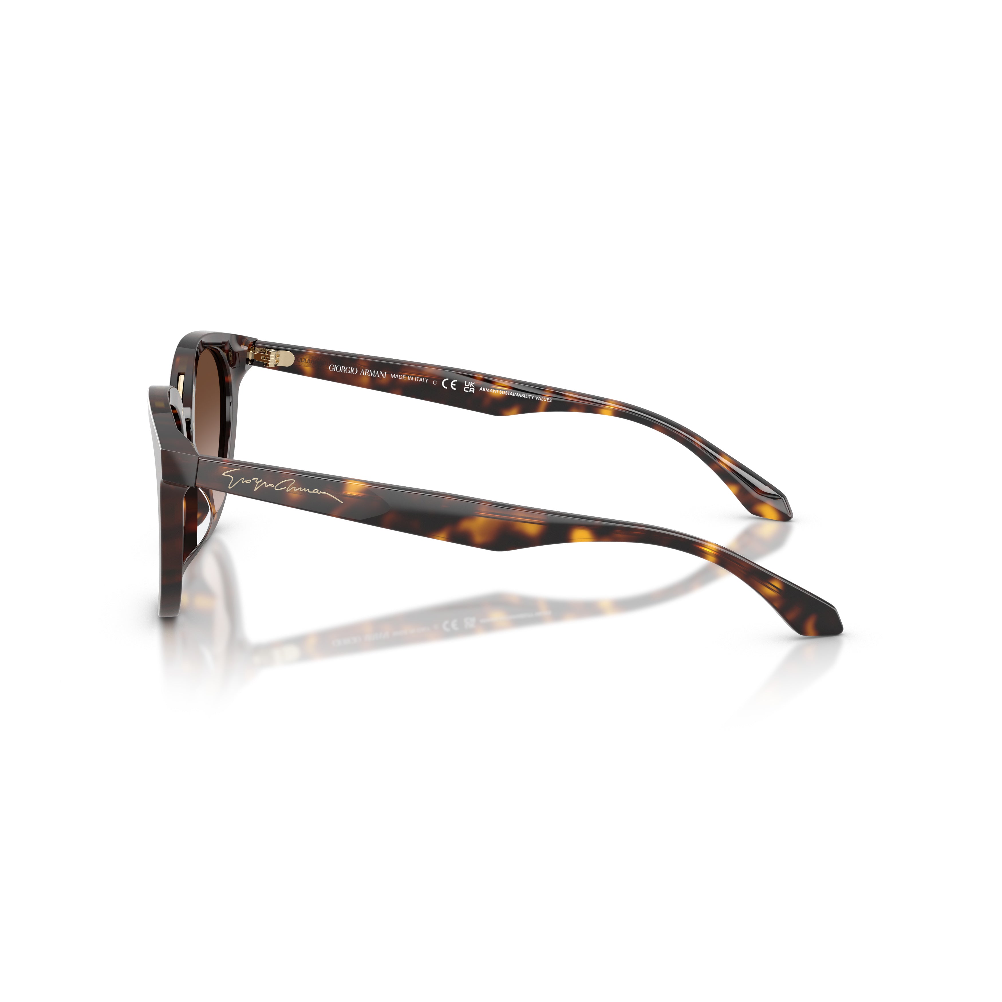 0ar8252u Rounded Cat-Eye Sunglasses with Tortoiseshell Acetate Frame