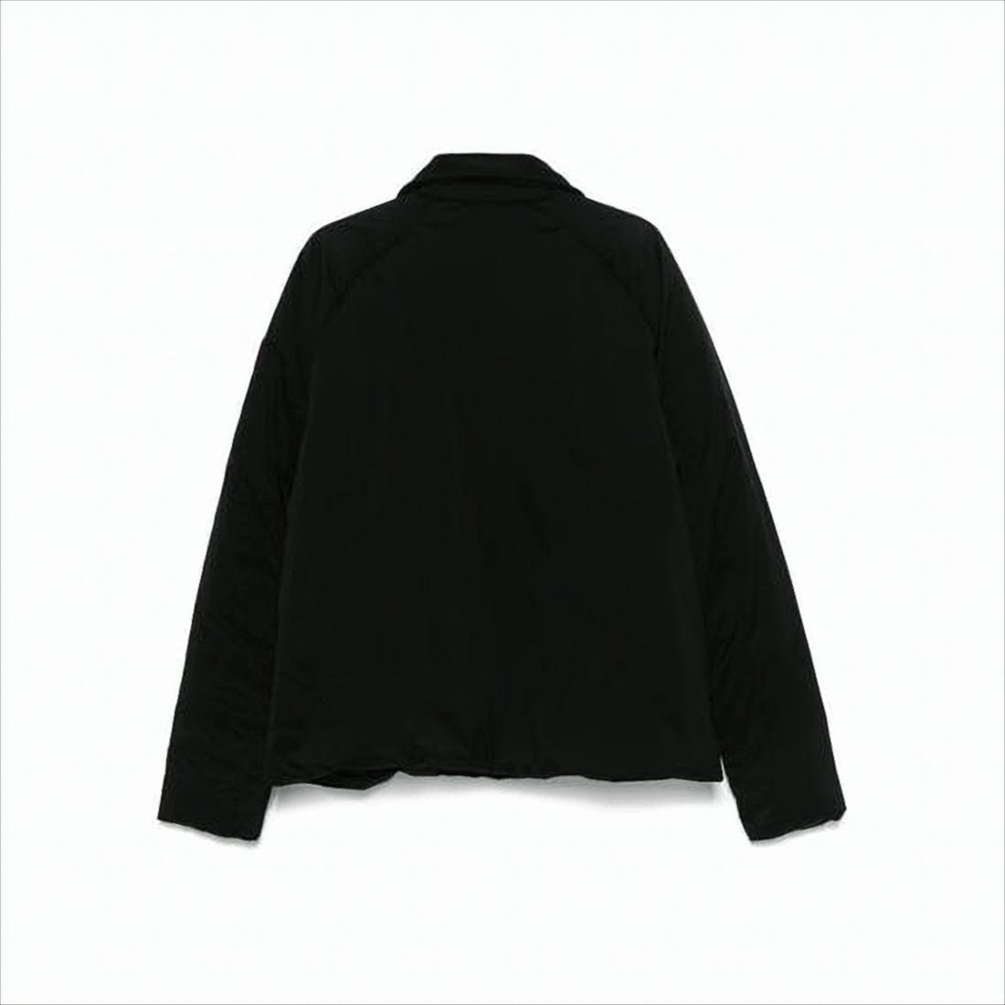 Minimalist Black Padded Jacket with Classic Collar