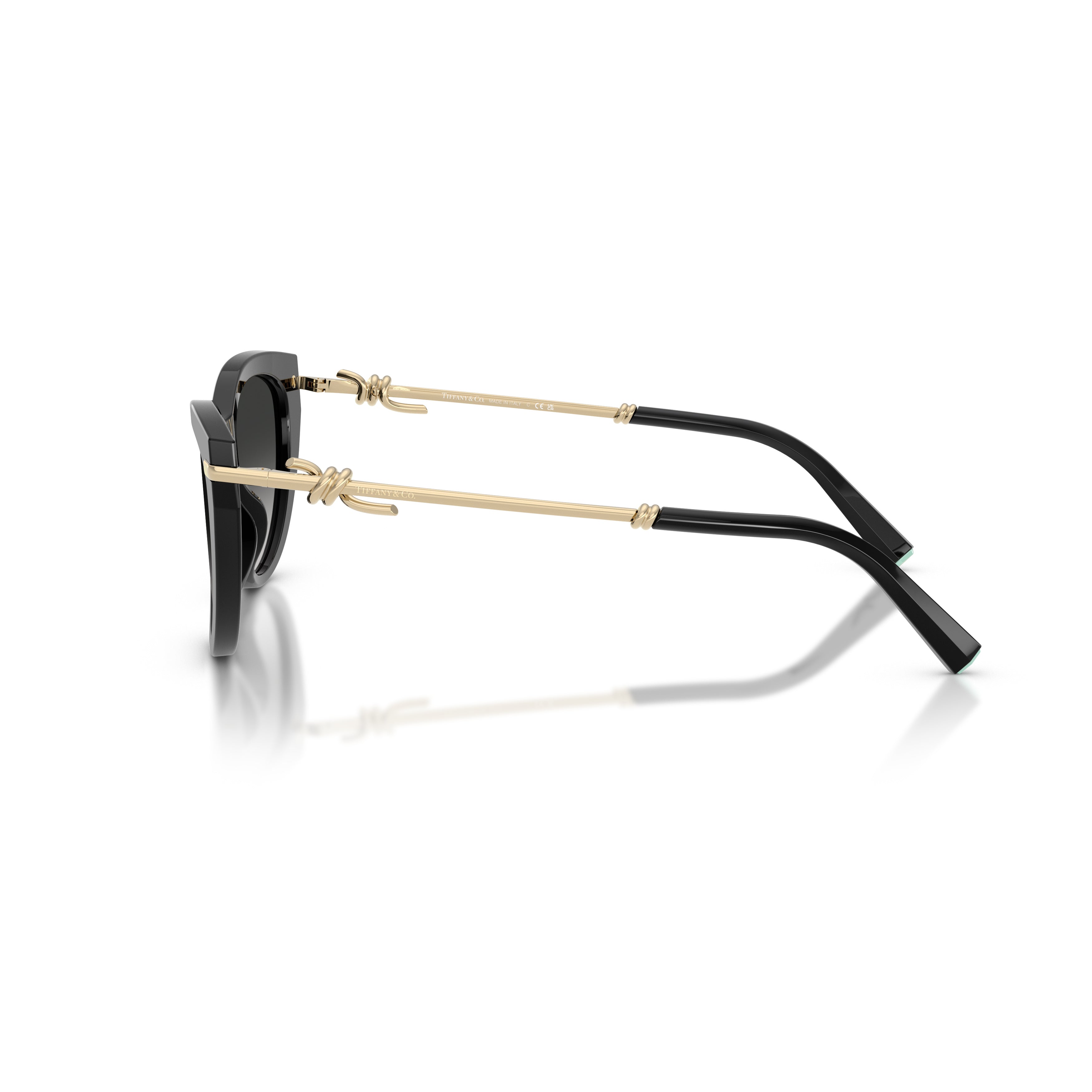 0tf4253 Cat-Eye Sunglasses