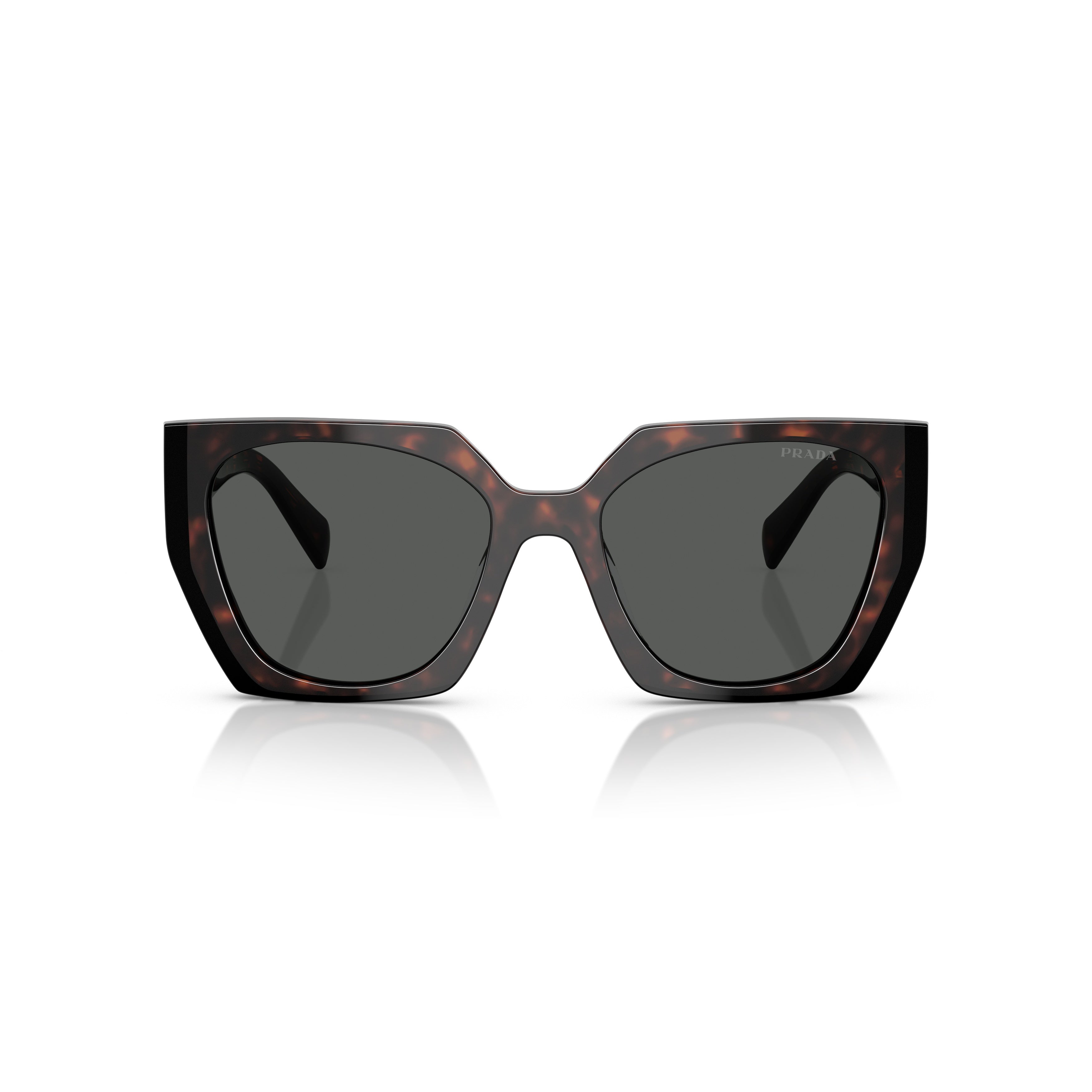 0pr 15ws Oversized Tortoiseshell Acetate Sunglasses