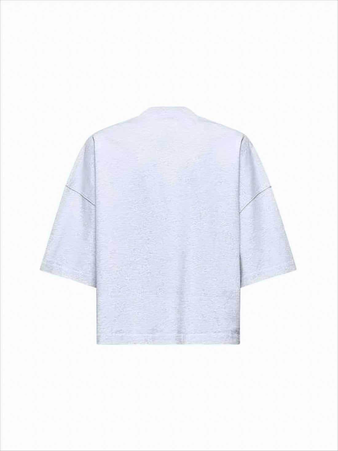 Cropped Grey T-Shirt With Boxy Silhouette And Embroidered Detail