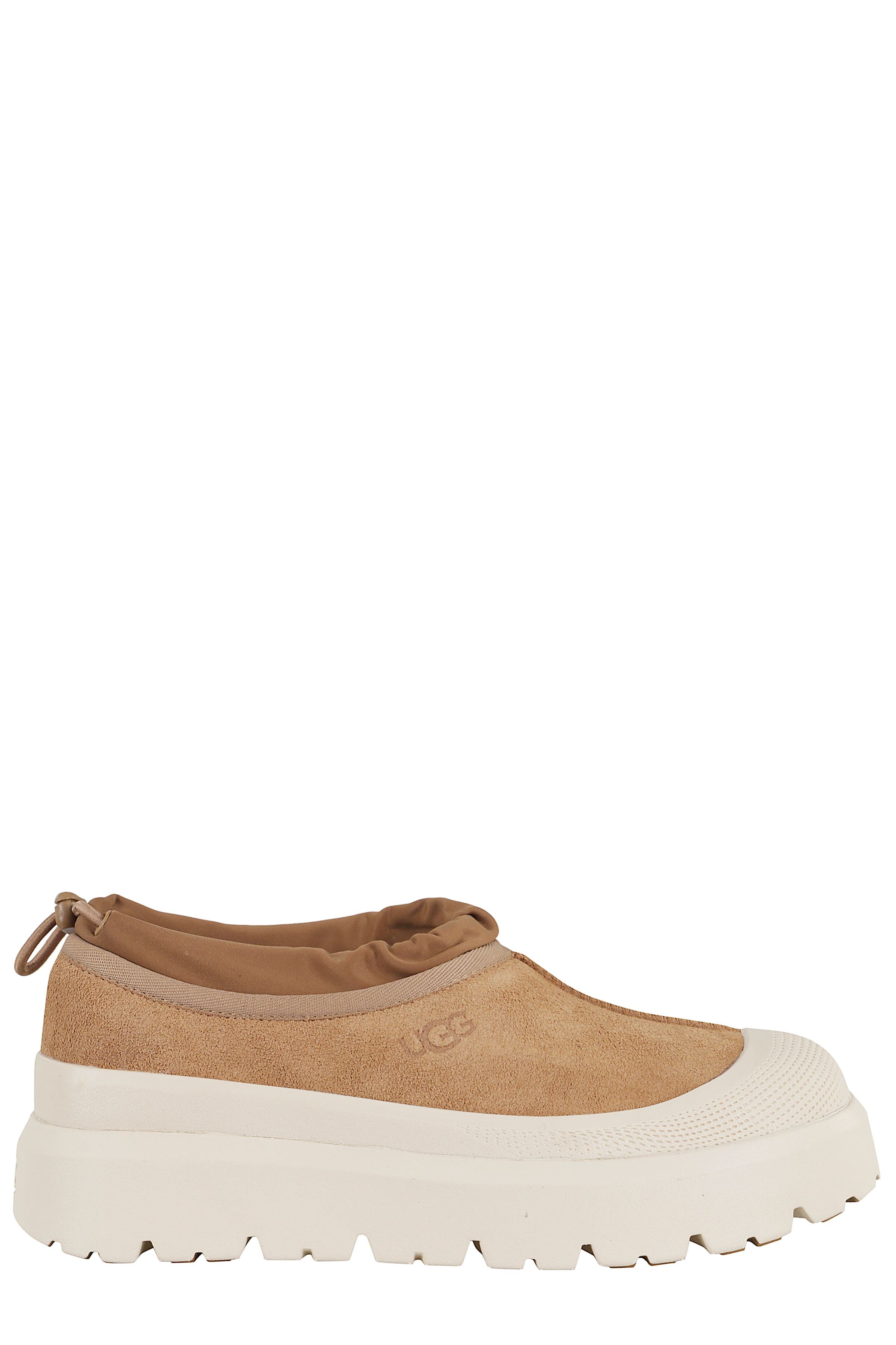 M Tasman Shoe