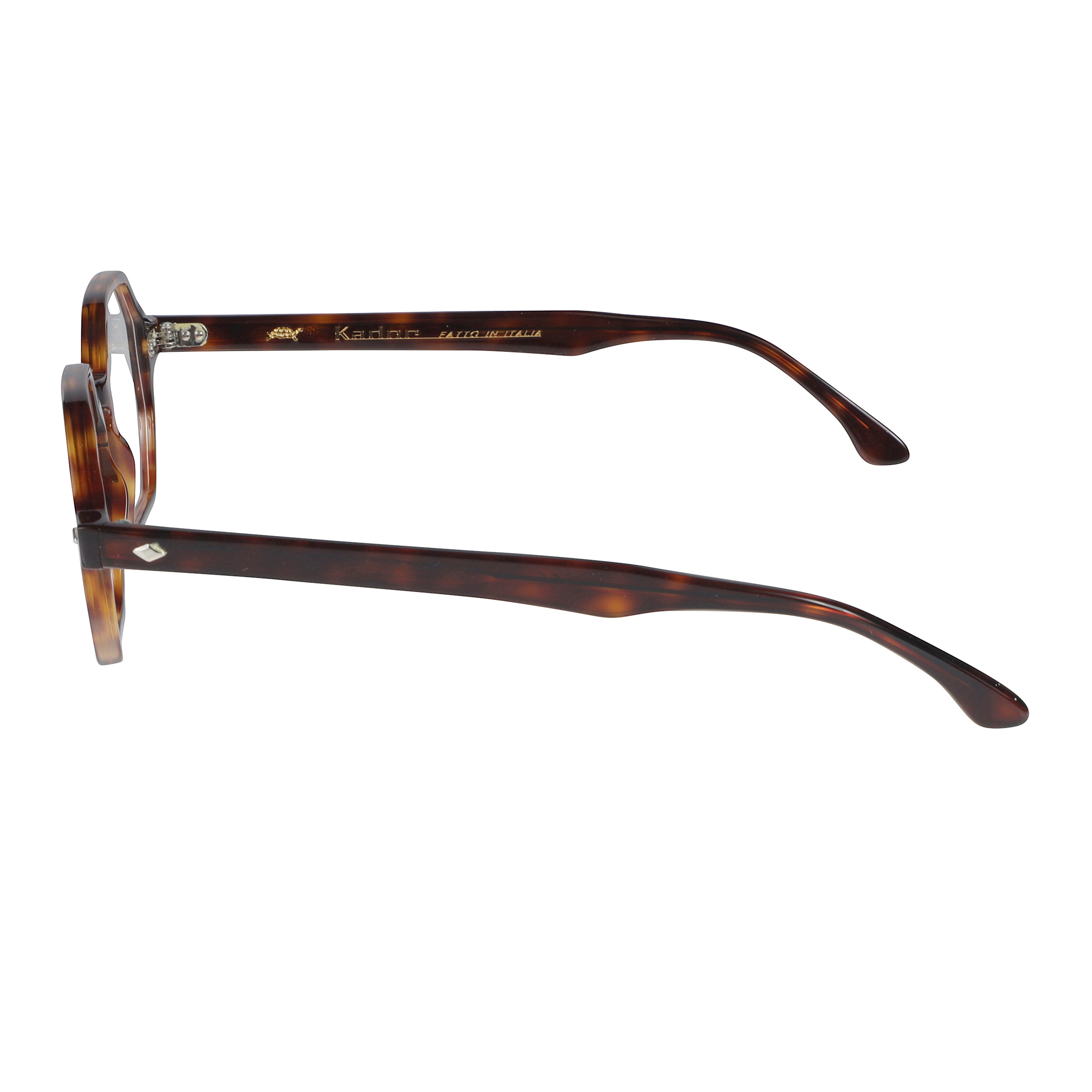 Octagon Octagonal Tortoiseshell Frame Sunglasses with Metallic Accents