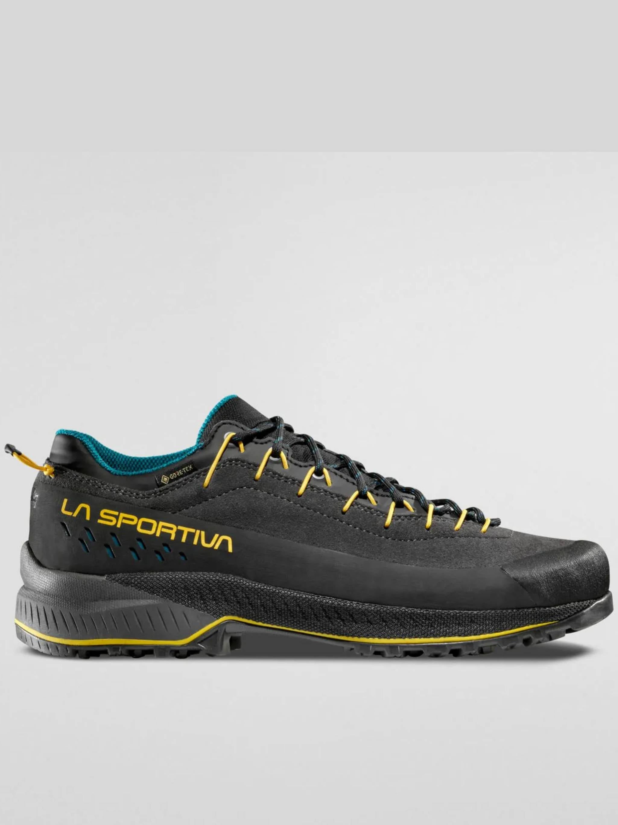 Black Tx4 Evo GTX Technical Shoes