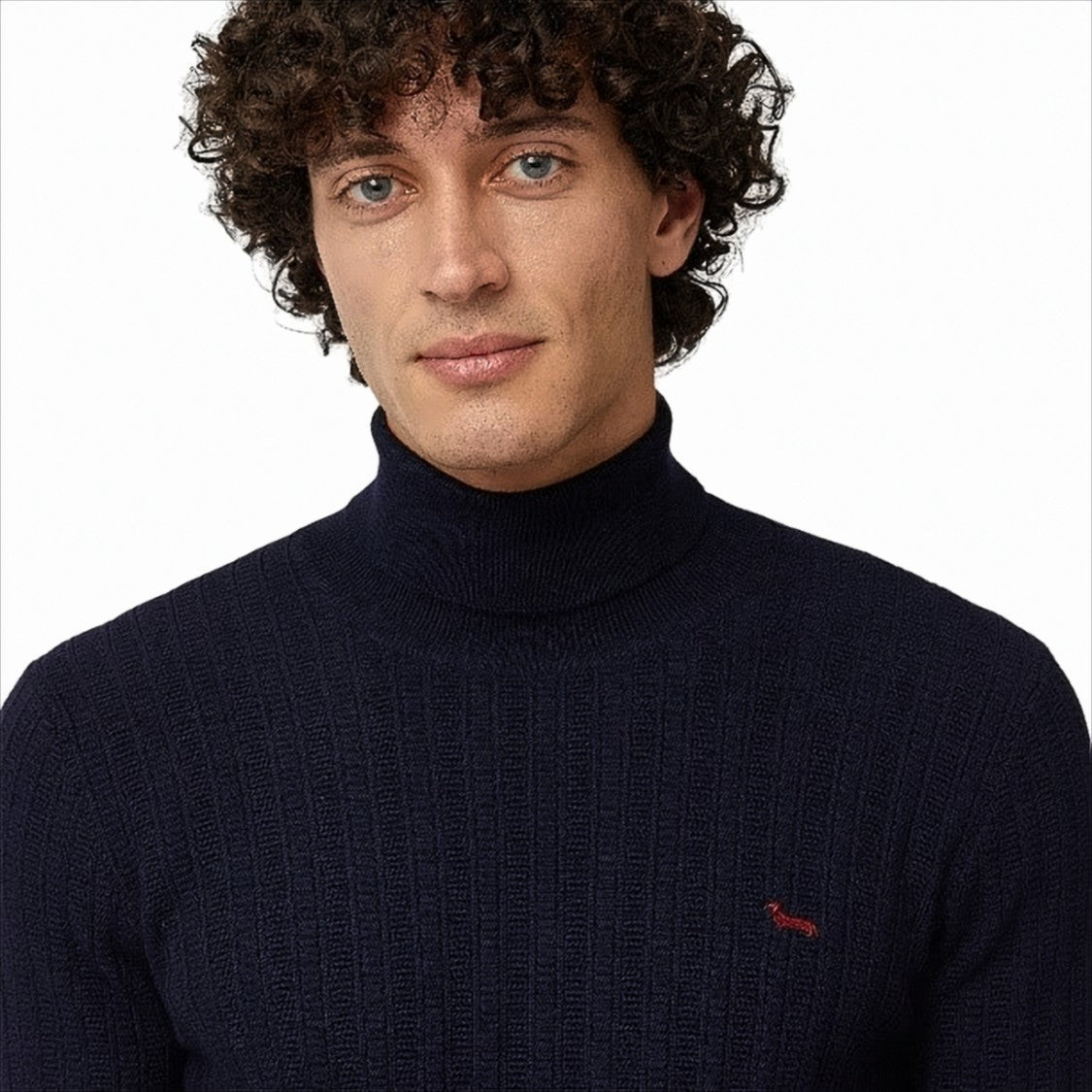 Textured Knit Pullover