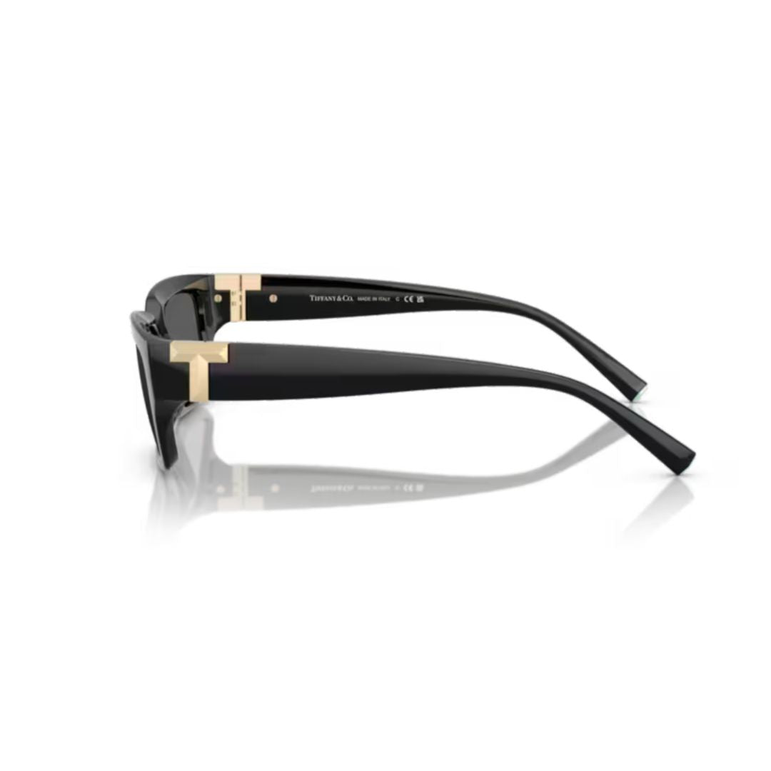 0tf4226u Rectangular Sunglasses