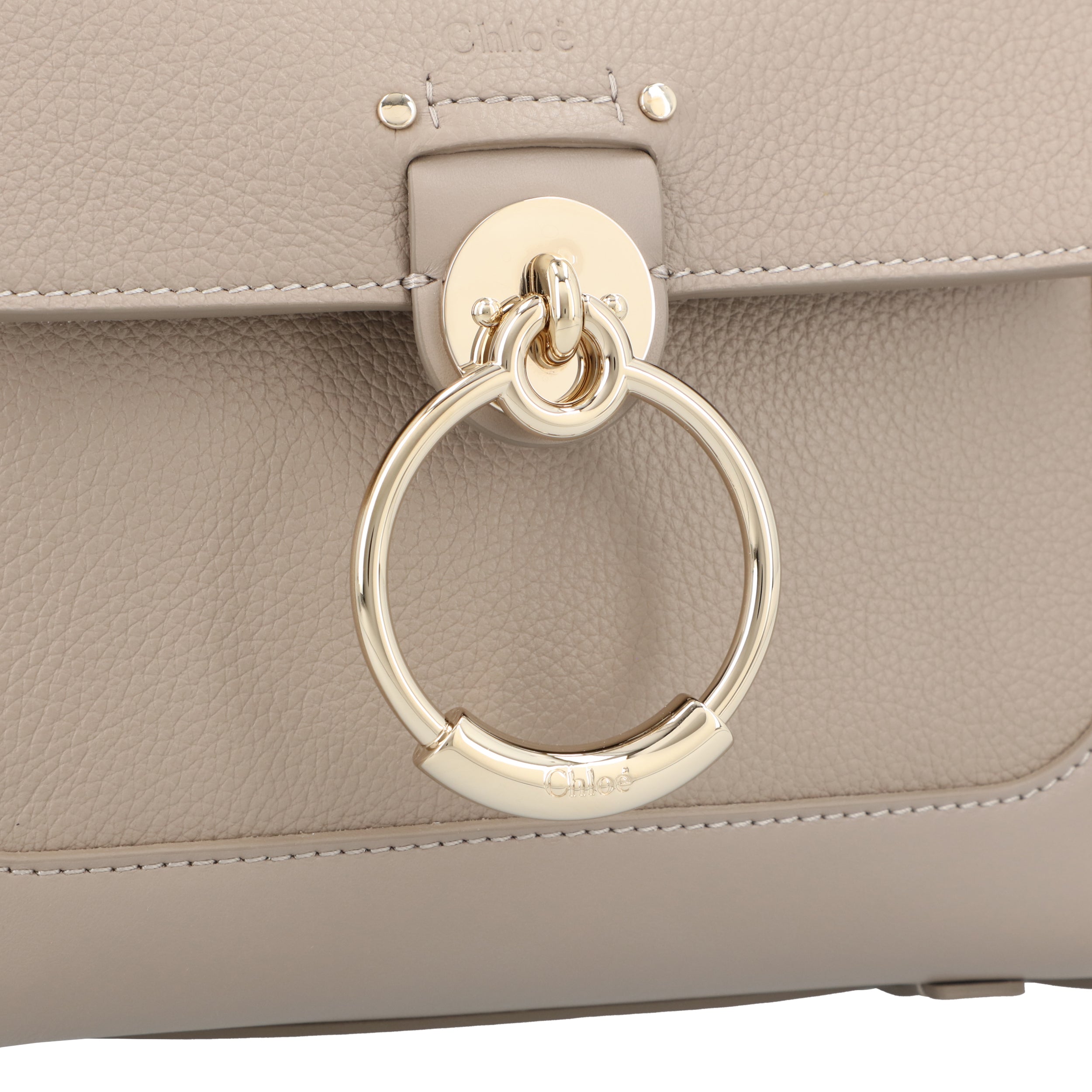 Mini Tess Day Bag In Grained & Soft Leather