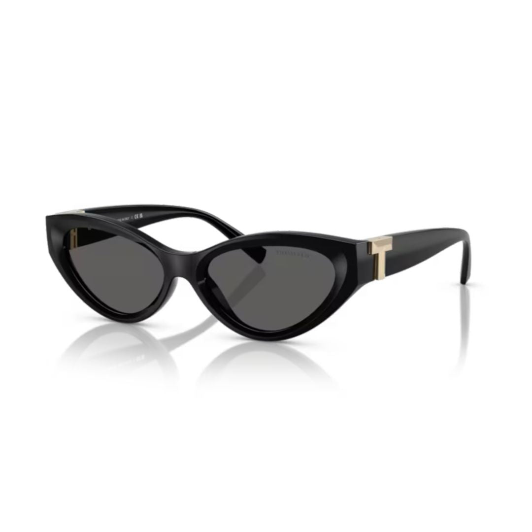 0tf4225u Cat-Eye Sunglasses with Gold-Tone Detail