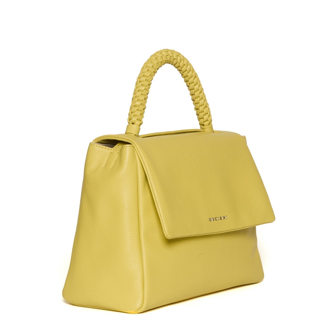 Scooby Leather Shoulder Bag With Woven Handle
