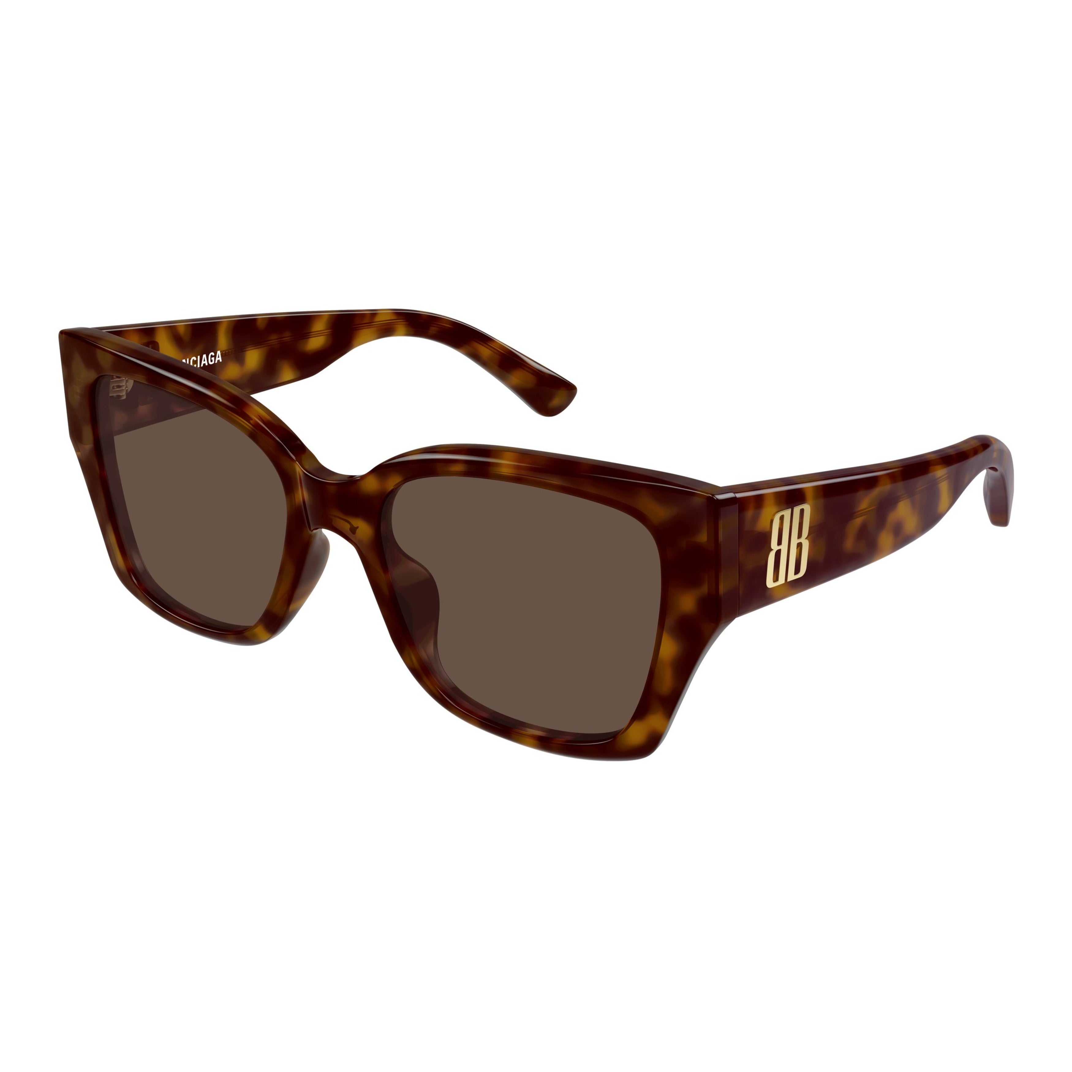 Oversized Tortoiseshell Acetate Sunglasses With Gold Accents