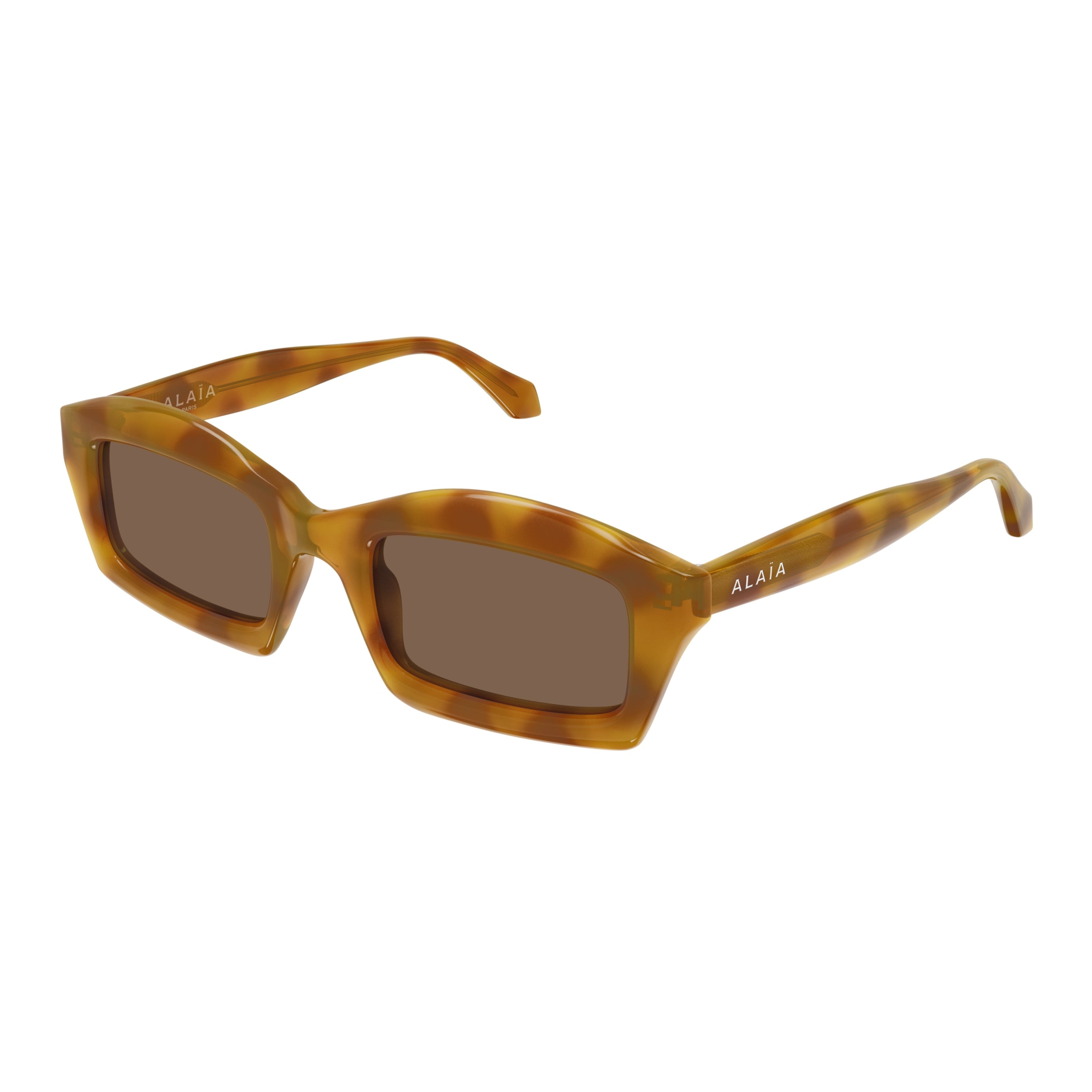 Aa0089s Oversized Square Tortoiseshell Sunglasses with Glossy Finish