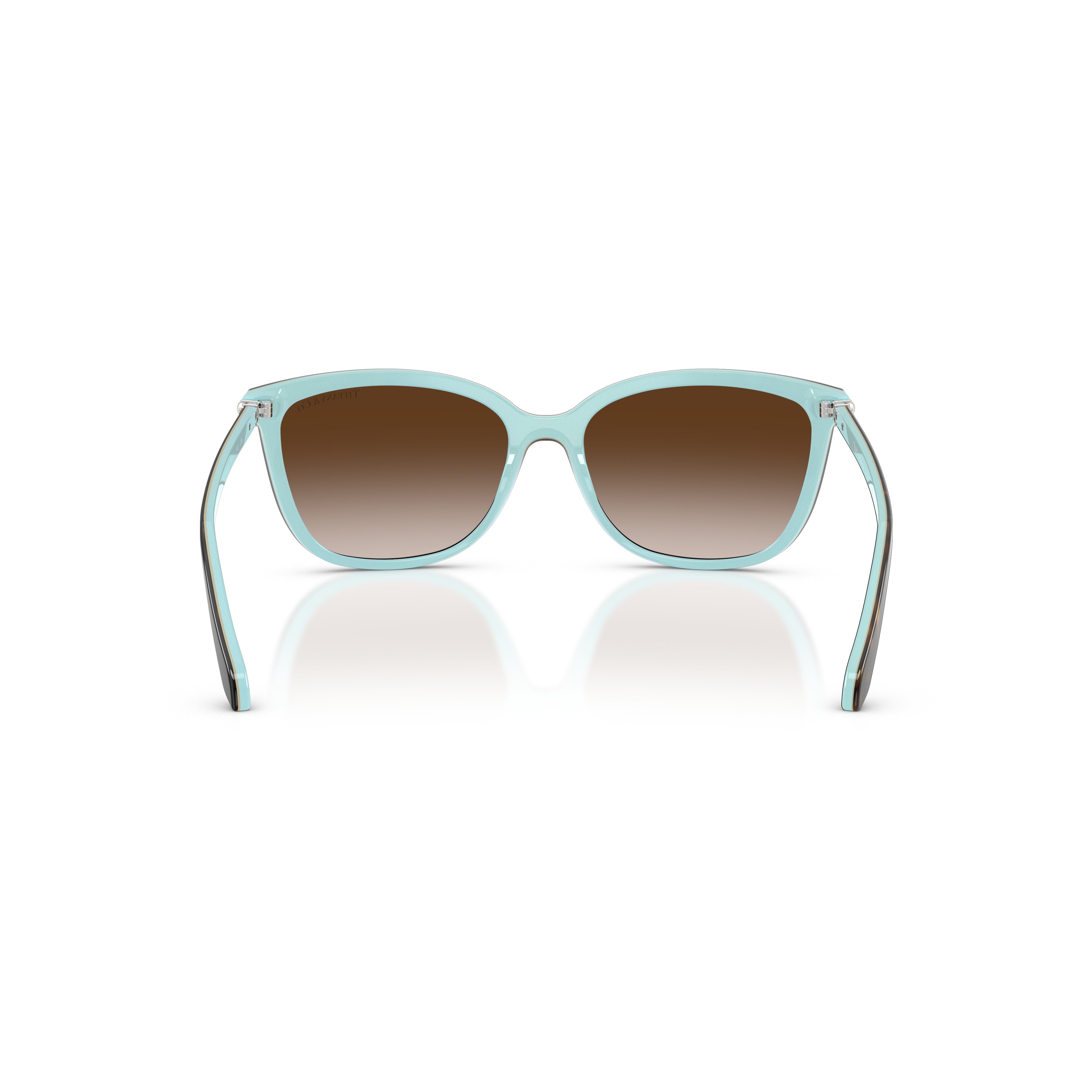 0tf4105hb Cat-Eye Sunglasses in Glossy Acetate